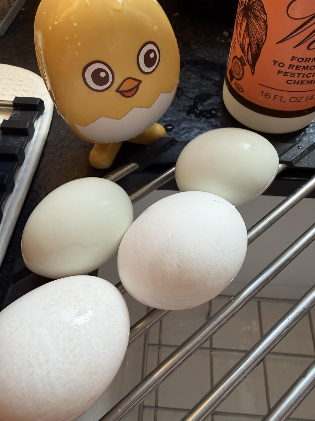 Lumkew Egg Washer Cleaner for Fresh Eggs, Egg Wash and Brush Scrubber, 1pcs | Cleaning Eggshell, Universal, Cute Chicken Coop Essentials customer photo 2