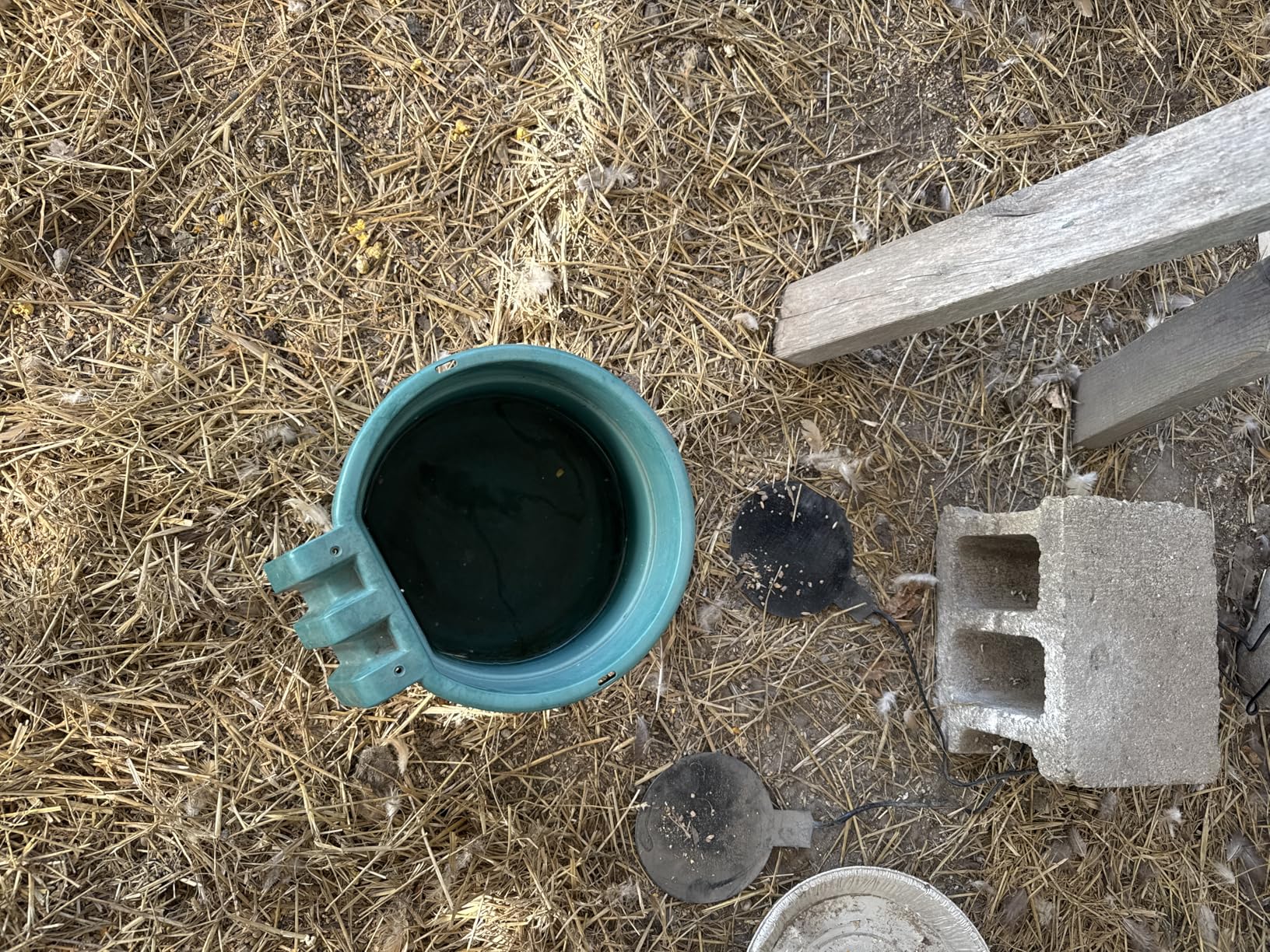 Heated Chicken Waterer Base, 6