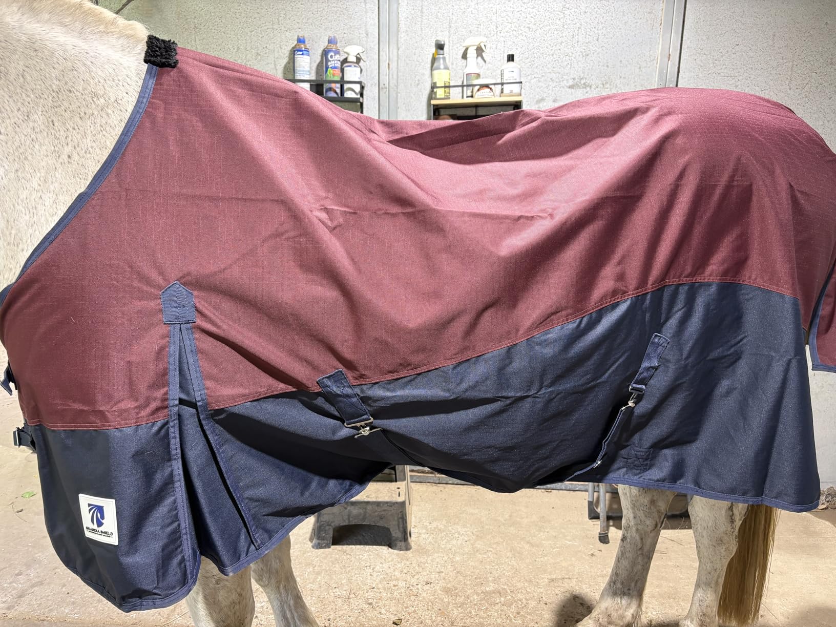 Horse Turnout Rain Sheet 600 Denier Ripstop Turnout Blanket No Fill Waterproof Lightweight Breathable Pink/Blue 72 in customer photo 2