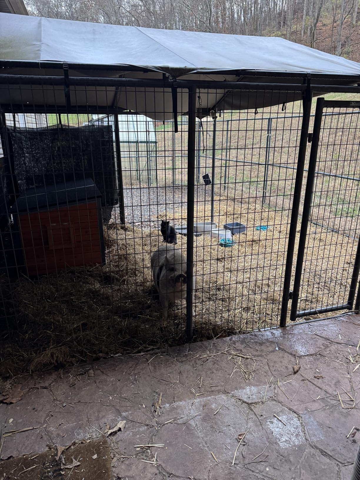 Insulated Dog House Outdoor Weatherproof, Wooden Warm Houses with Upgrade Anti-Chewing Iron Frame Dog Shelter for Puppies customer photo 2
