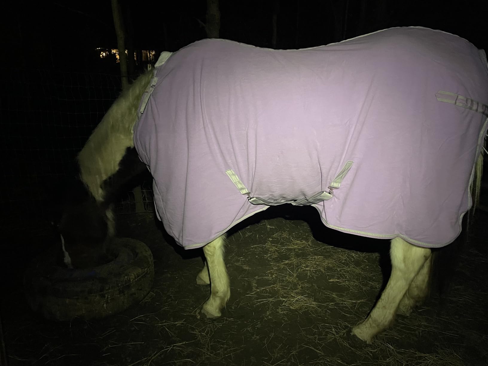 LEAFOREST Horse Fleece Blanket Polar Fleece Cooler Liner Soft Exercise Blankets for Horses Moisture Wicking Sheet in the Barn, Stable, Stall, Pasture, Paddock Purple 75 inches customer photo 2