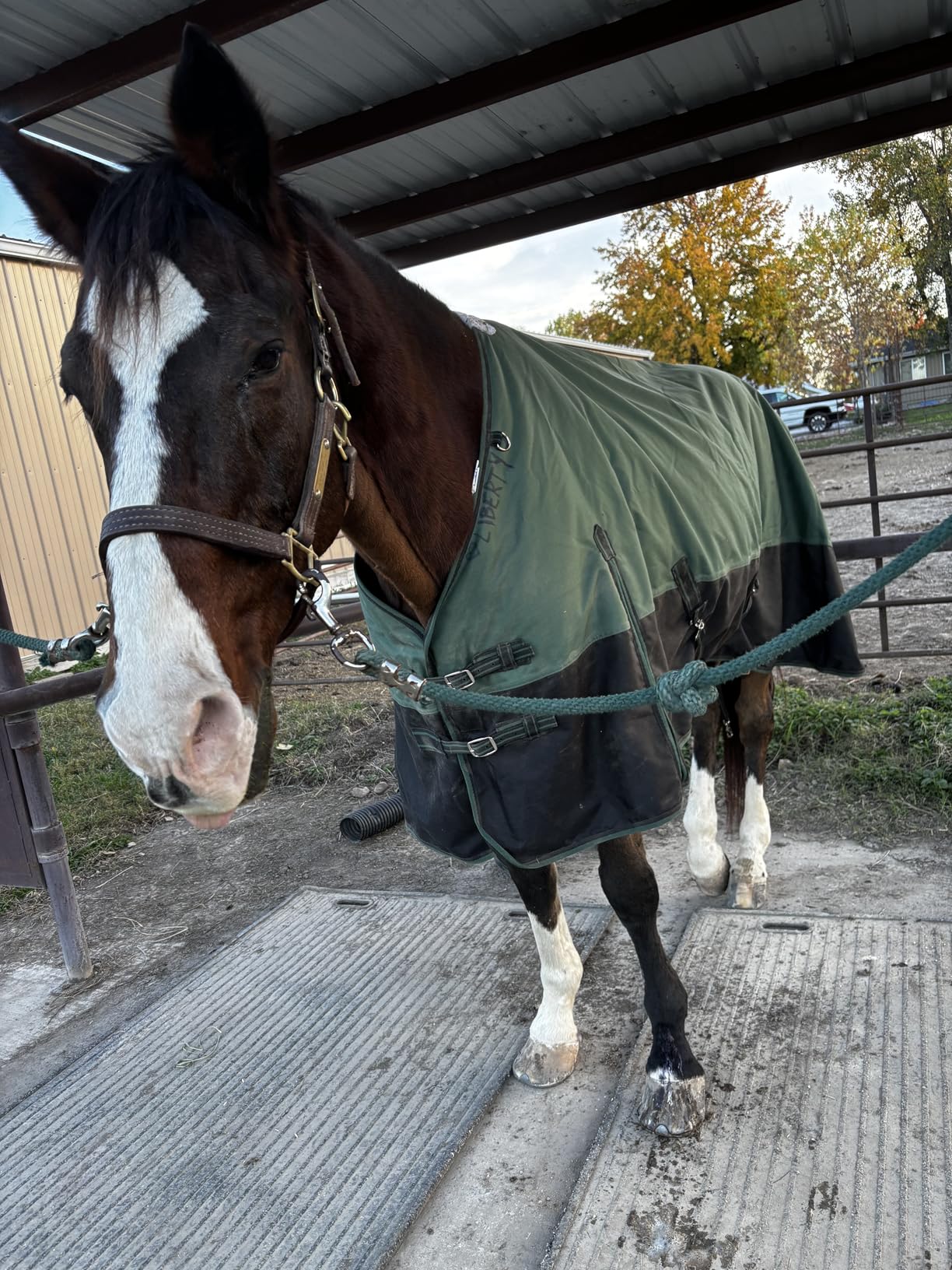1200D Ripstop Waterproof Breathable Horse Blanket (200g Fill), Medium Weight Warm Winter Turnout, Thermal Protection for Cold & Snow Greenblack 72