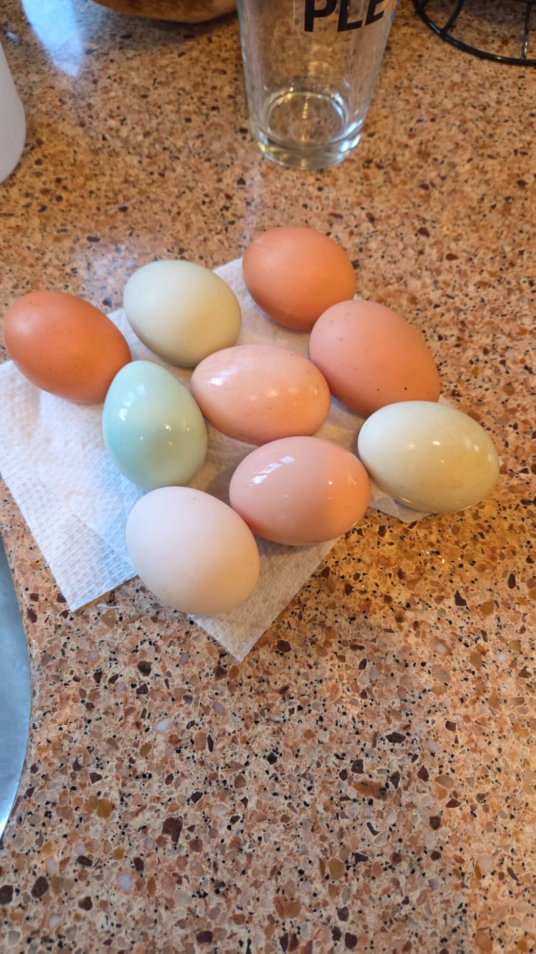 Automatic LED Daylight Extender, Zuomeng Upgraded Chicken Coop Light with Multi-Color Light (White/Red/Blue/Green) to Boost Egg Production & Support Chick Growth, Weather-Resistant (Patent Pending) customer photo 1