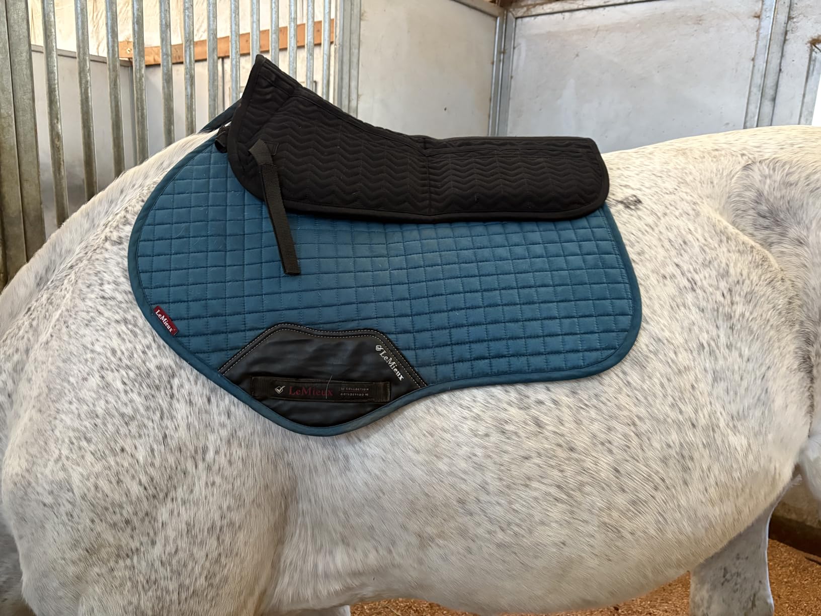 OutdoorMaster Saddle Pad, Corrective Half Saddle Pad with Adjustable Memory Foam, Machine Washable Saddle Pad for Horses, Anti-Slip Backing, Shock Absorbing & Pressure Relief for Riding customer photo 2