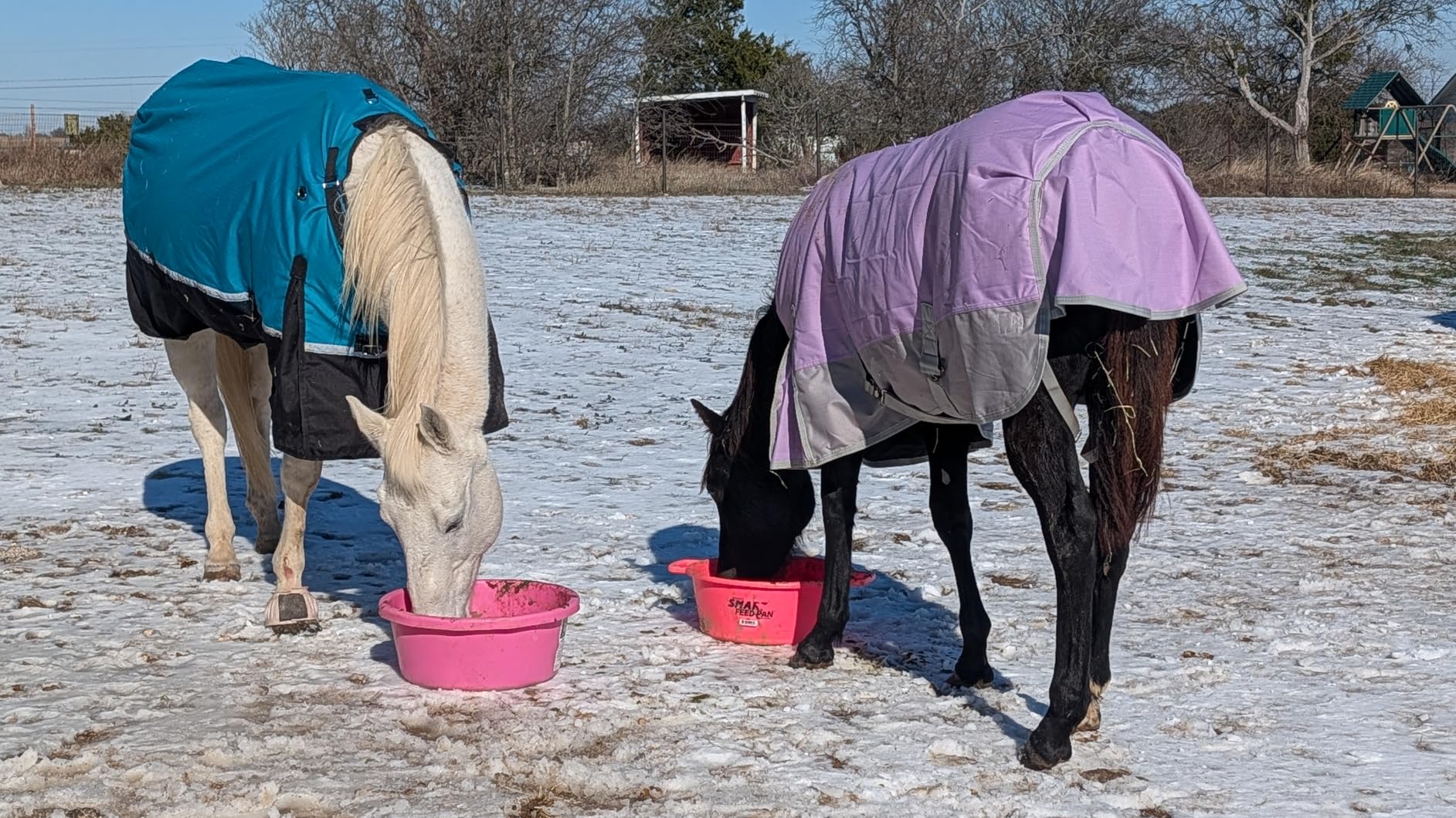 1200D Ripstop Mini Horse/Pony Blanket, Medium Weight 200g Fill - Waterproof Breathable Warm Winter Turnout Blanket for Foal/Weanling/Yearling/Donkey/Mule Violetgrey 48