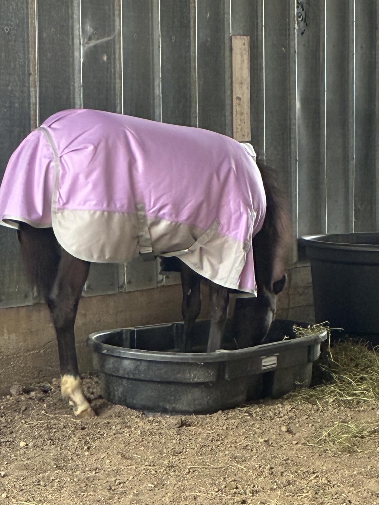 1200D Ripstop Mini Horse/Pony Blanket, Medium Weight 200g Fill - Waterproof Breathable Warm Winter Turnout Blanket for Foal/Weanling/Yearling/Donkey/Mule Violetgrey 48