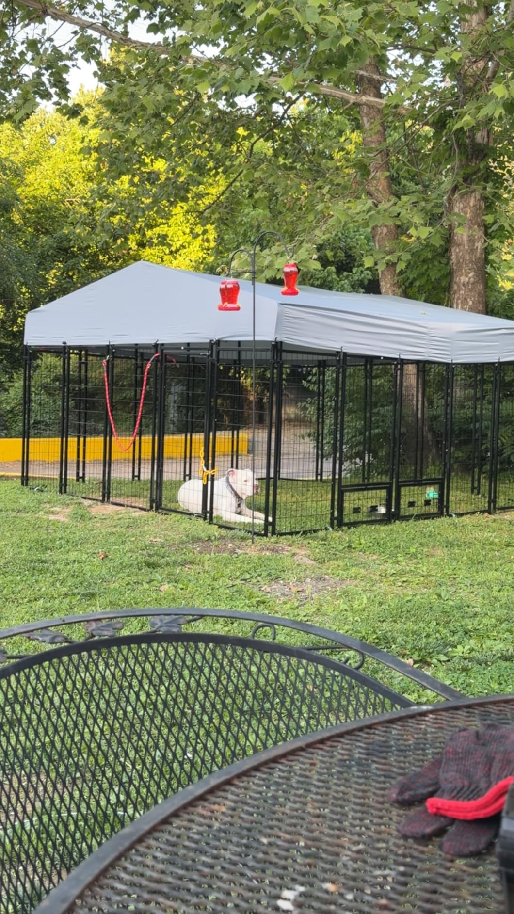 LotFun Large Outdoor Dog Kennel, 10 x 10 FT Heavy Duty Dog Enclosure with Rotated Dog Bowls, UV-Resistant Canopy Cover, Double Lock Security customer photo 1