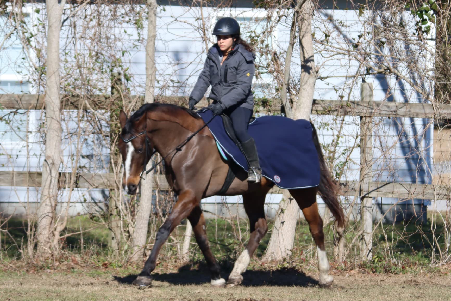 Derby Originals Classic Horse Polar Fleece Keyhole Quarter Sheet - Breathable, Moisture-Wicking, Reflective Exercise Rug with Contoured Fit, Tail Cord & Reflective Safety Strips customer photo 2