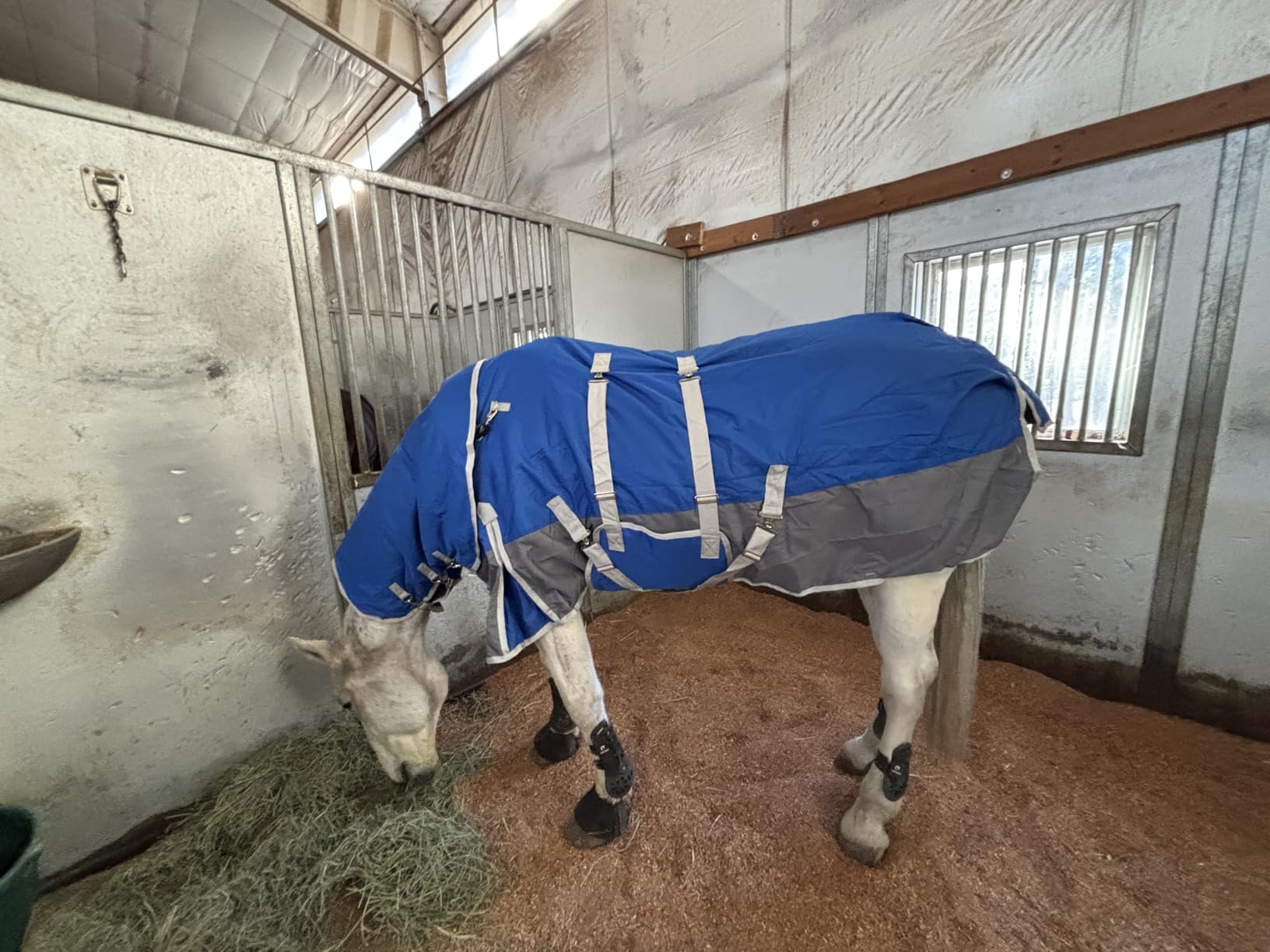 Winter Horse Blanket Horse Turnout Blanket Waterproof 1200D 260g Filled Medium Weight Horse Blanket with Detachable Neck Cover customer photo 1
