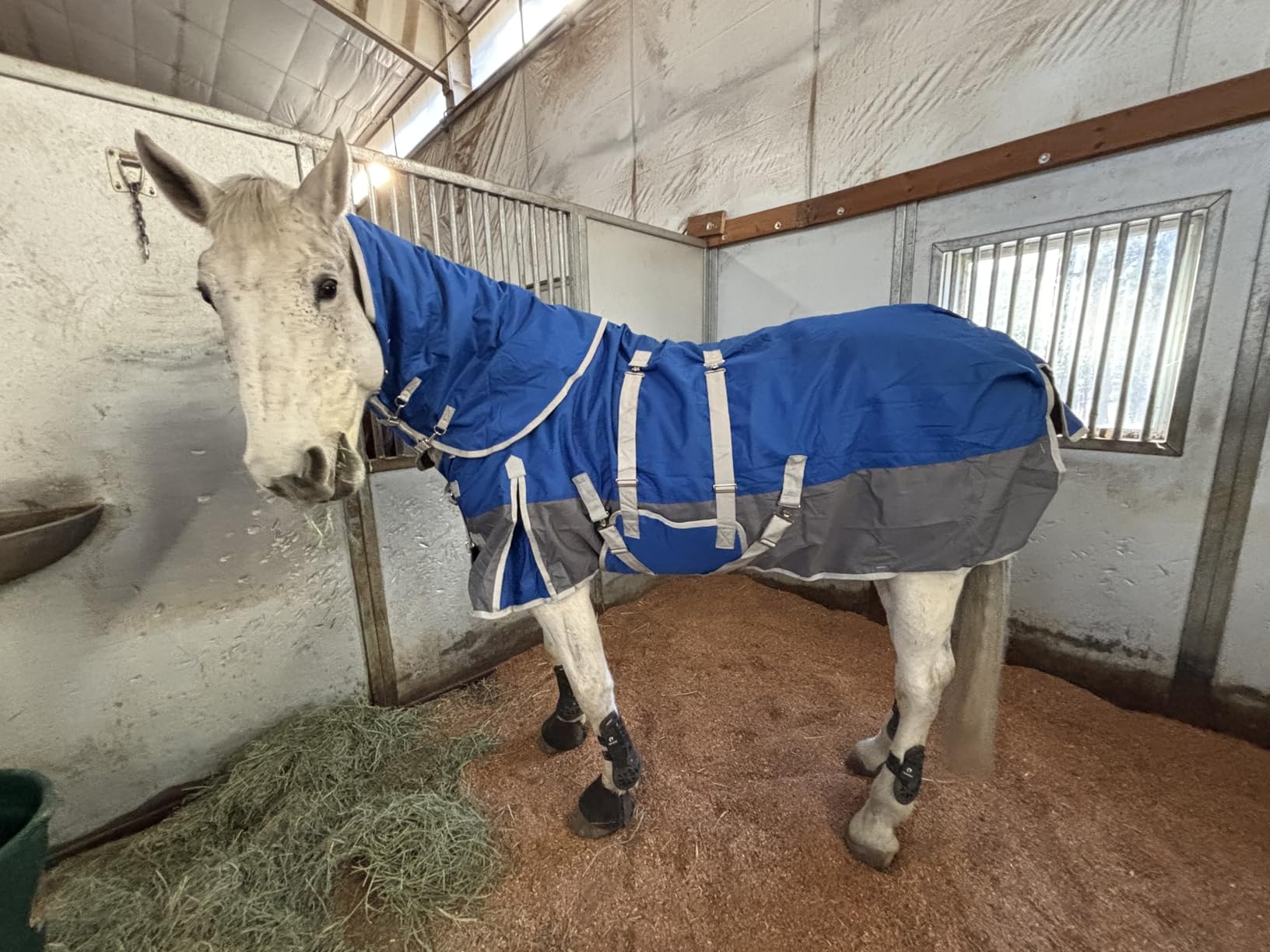 Winter Horse Blanket Horse Turnout Blanket Waterproof 1200D 260g Filled Medium Weight Horse Blanket with Detachable Neck Cover customer photo 2