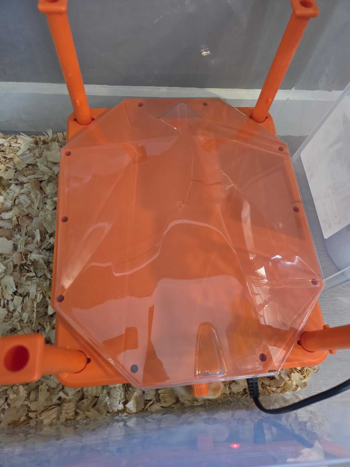 Chick Brooder Heating Plate, 14