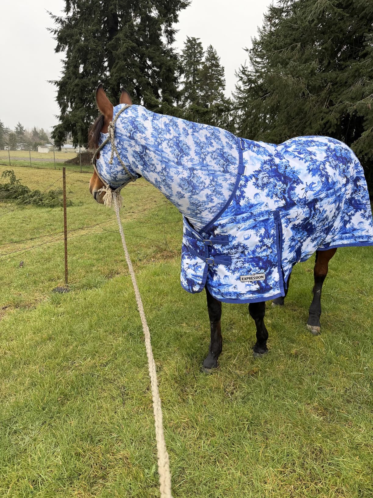 Jeffers Expression 1200 Denier Standard Neck Turnout Blanket for Horses, 75