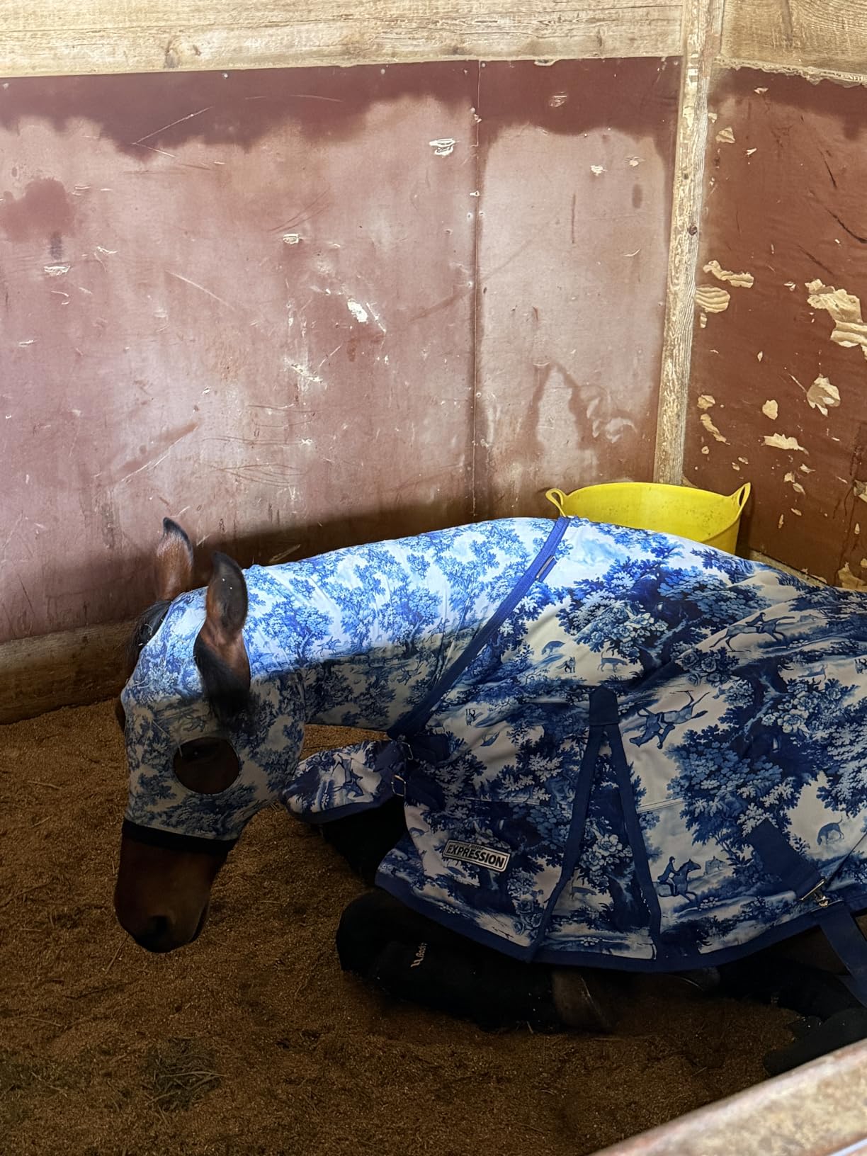 Jeffers Expression 1200 Denier Standard Neck Turnout Blanket for Horses, 75