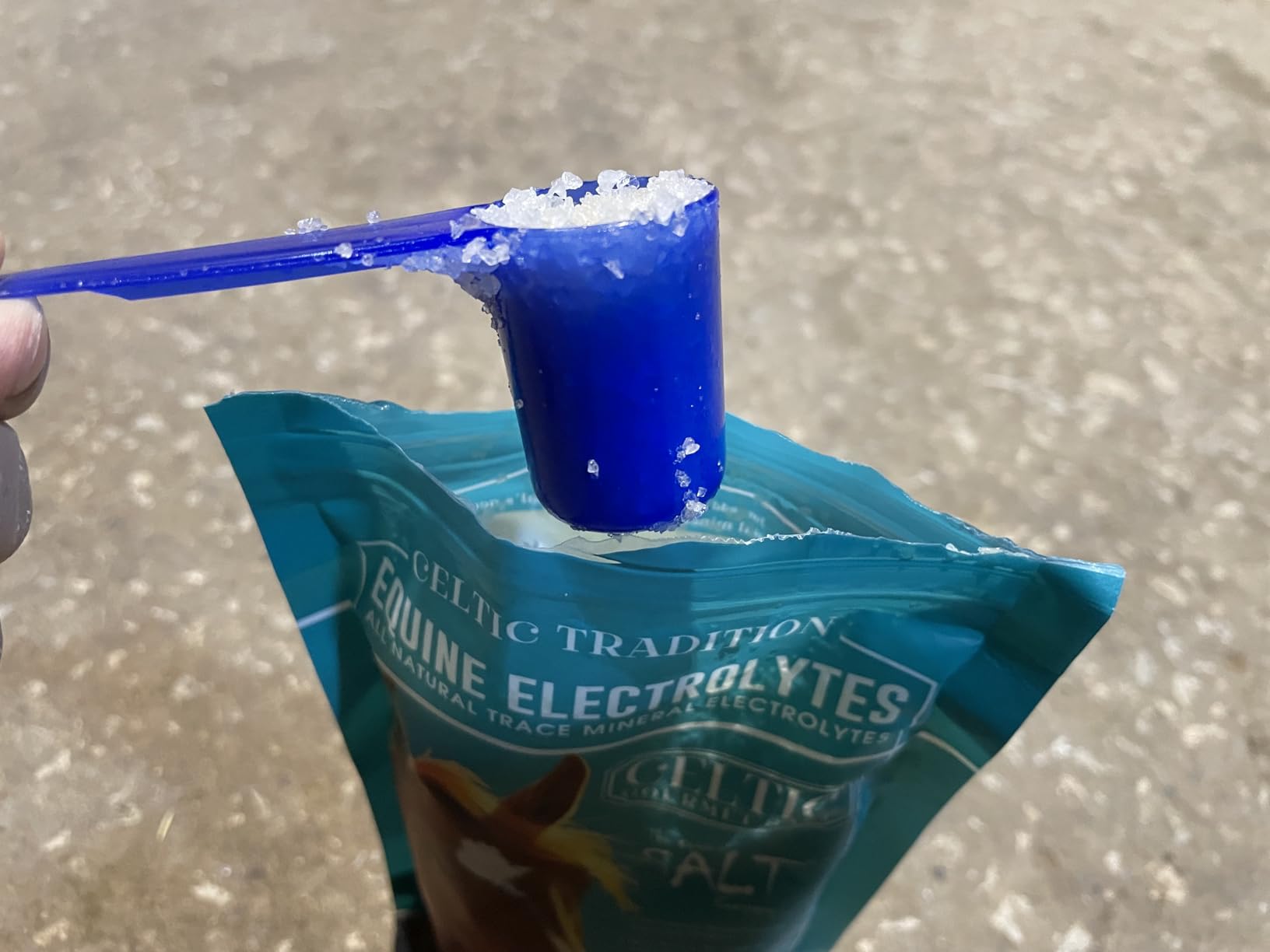 Celtic Tradition Equine Electrolytes - Natural Mineral Salt Supplement for Horses | Replenishes Electrolytes, Supports Hydration & Recovery | 1 lb Resealable Bag customer photo 2