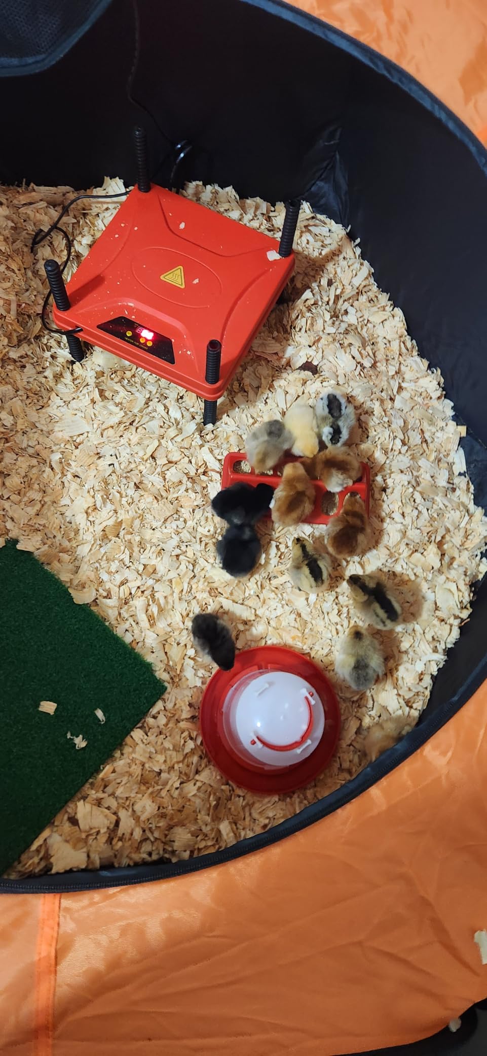 Brooder Box for Chick, 6-in-1 Chick Starter Kit, Includes Brooder Heating Plate, Baby Chicken Pen, Chicken Feeder, Waterer, Perch, Nesting Pad (Brooder Set) customer photo 1