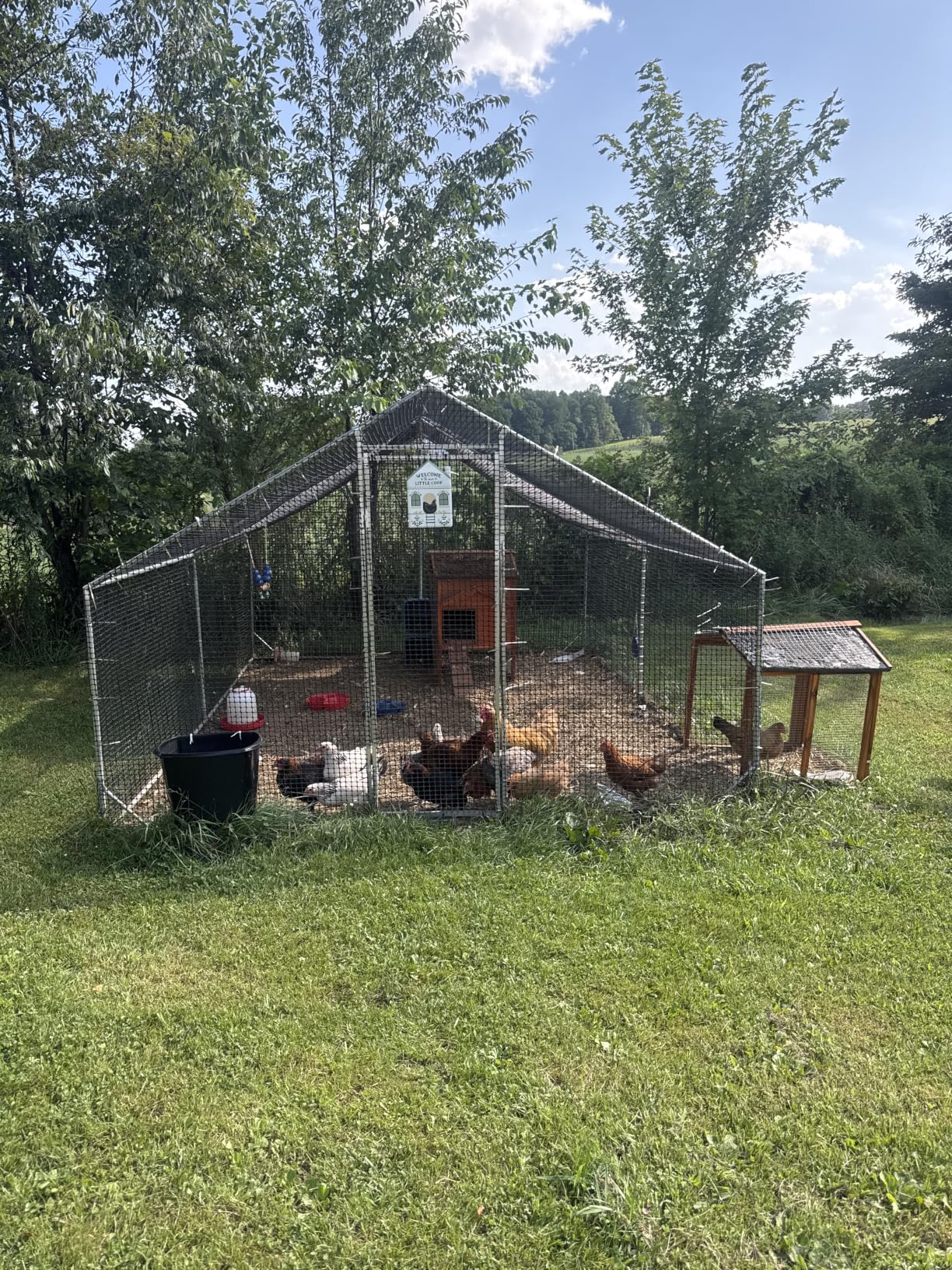 CAMMOO Metal Chicken Coop with Run, 13.1x9.8x6.6ft, Walk-in Chicken Run for Yard with Cover, Upgrade Double Lock & Rust-Proof Mesh, Stainless Steel Ties, Easy Assembly, Chicken Pen for Ducks, Rabbits customer photo 1