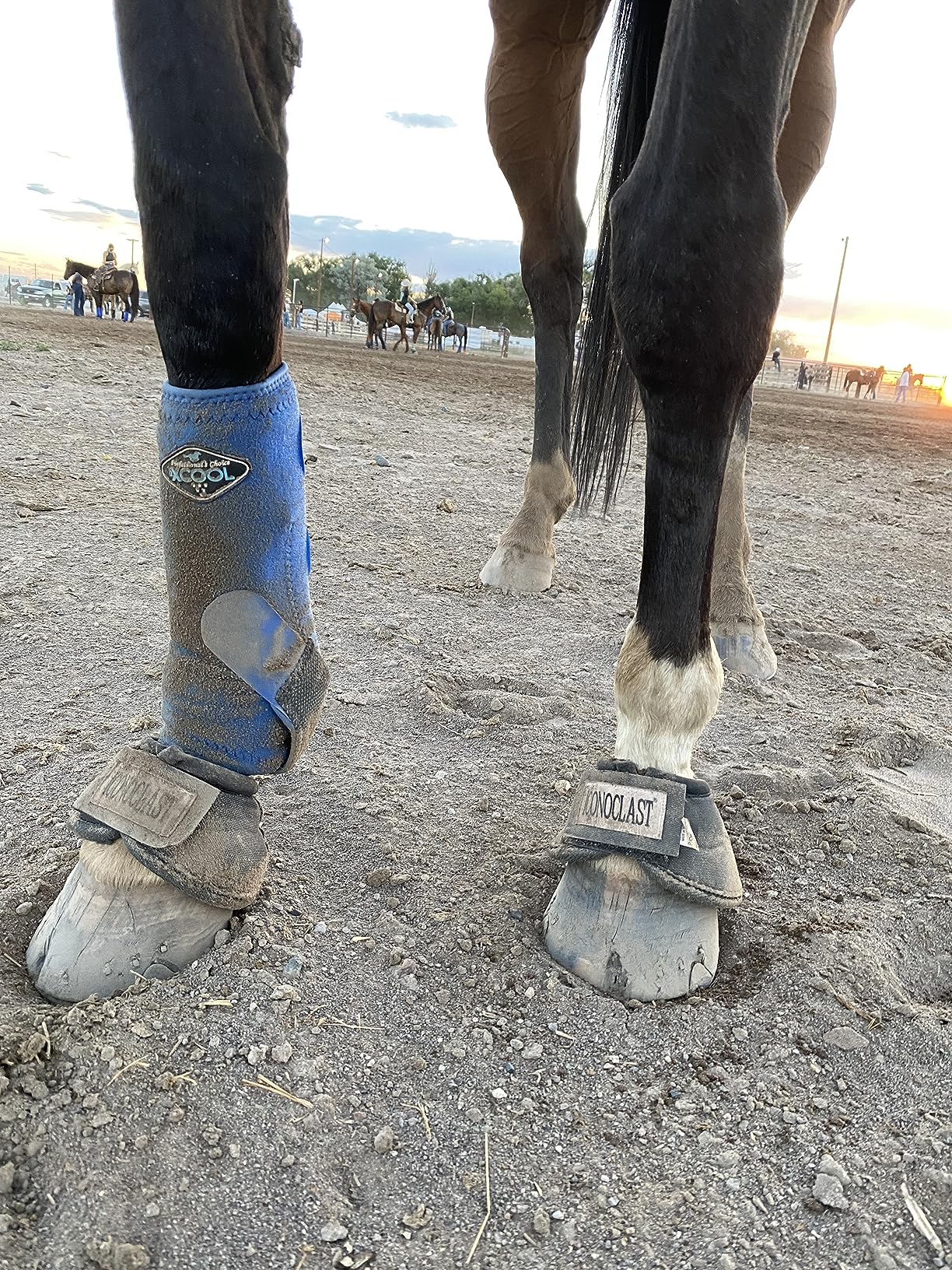 Professional's Choice 2XCOOL Sports Medicine Horse Boots customer photo 2