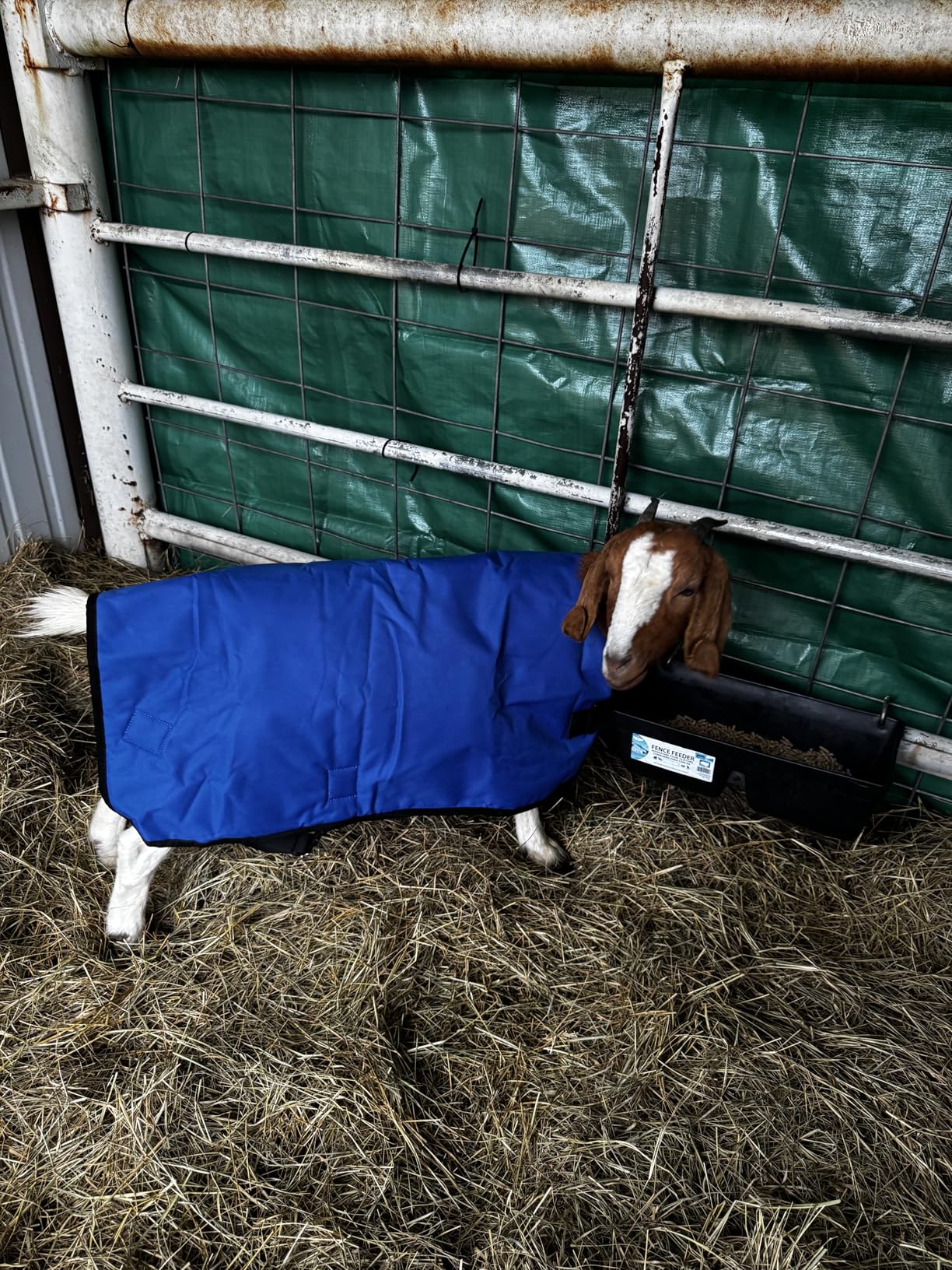 Shinylin Weatherproof Goat Blanket for Winter Sheep and Calf Blanket Soft Fleece Lining Goat Coat for Show Goats, Pets & Livestock Adjustable Belly Straps (Gray, XL) customer photo 1