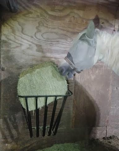 Hay Feeder,Heavy Duty Wall Mounted Hay Rack Detachable Sided Hay Holder for Horses, Goats,Sheep and Livestock,20 Gallons Large Capacity customer photo 1