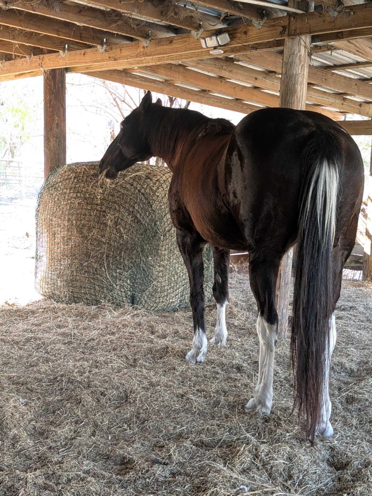 Round Bale Hay Net for Horses, 5x5 FT Heavy Duty Slow Feed Net with 1.5