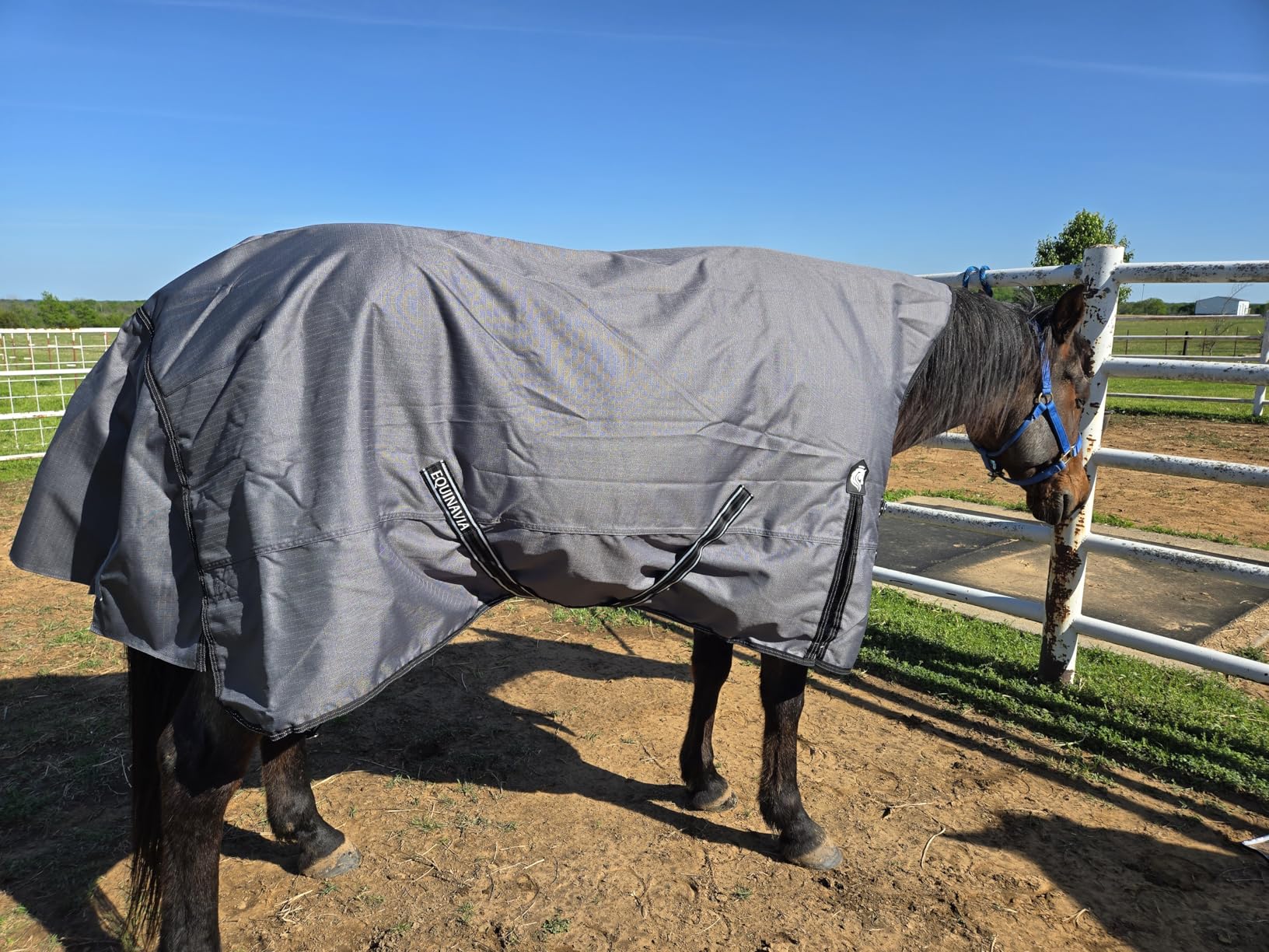 Equinavia Arktis Extended Neck Light Weight Turnout Blanket 100g, 81