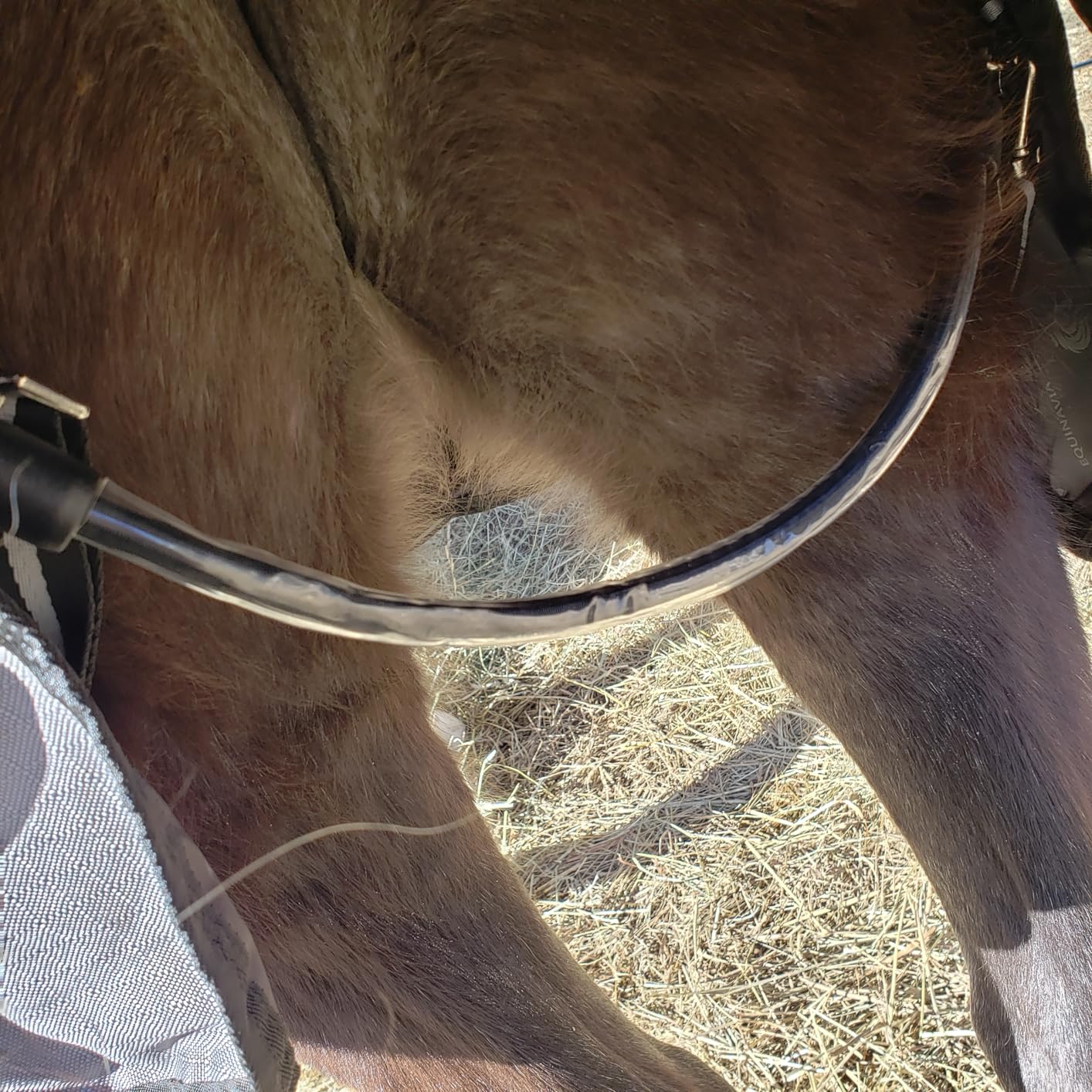 Equinavia Arktis Extended Neck Light Weight Turnout Blanket 100g, 81