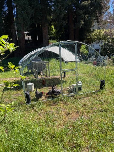 Large Chicken Coop with Run, Mobile Chicken House with Wheels and All-Around Iron Frame, Chicken Tractor Poultry Cage for 6-8 Chickens, Nesting Box, Metal Pull-Out Tray customer photo 1
