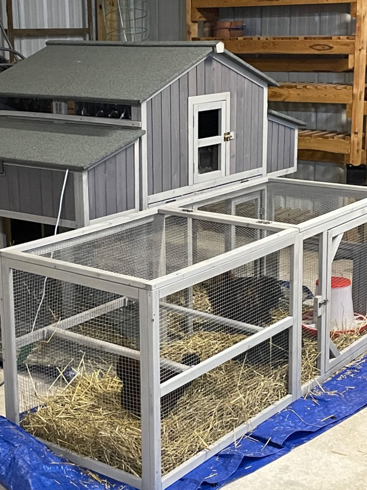 Aivituvin Extra Large Chicken Coop, Outdoor Rabbit Hutch Chicken Coop, Nesting Box, Leakproof Pull-on Tray and Ramps, Wooden Hen House for 6-10 Hens (Grey, AIR49) customer photo 2