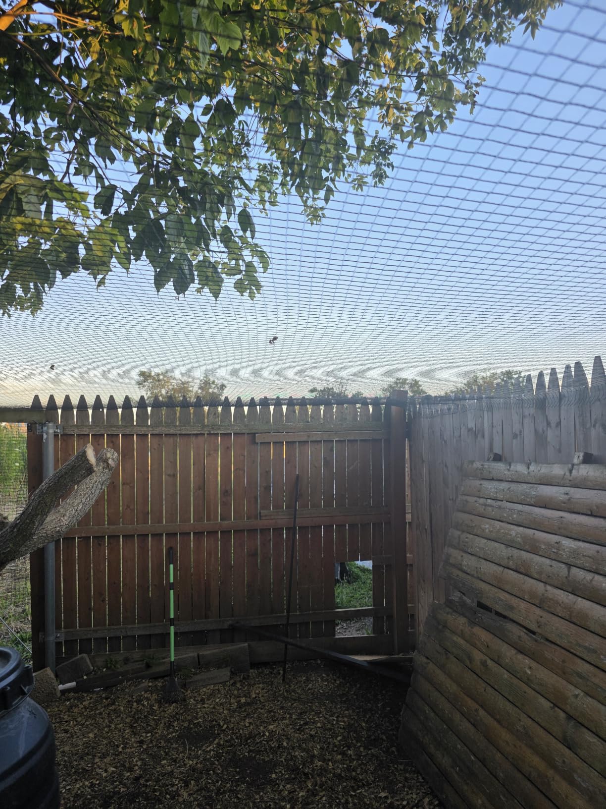 Heavy Duty Bird Netting for Chicken Coop, 19.5 x 19.5 ft 0.8