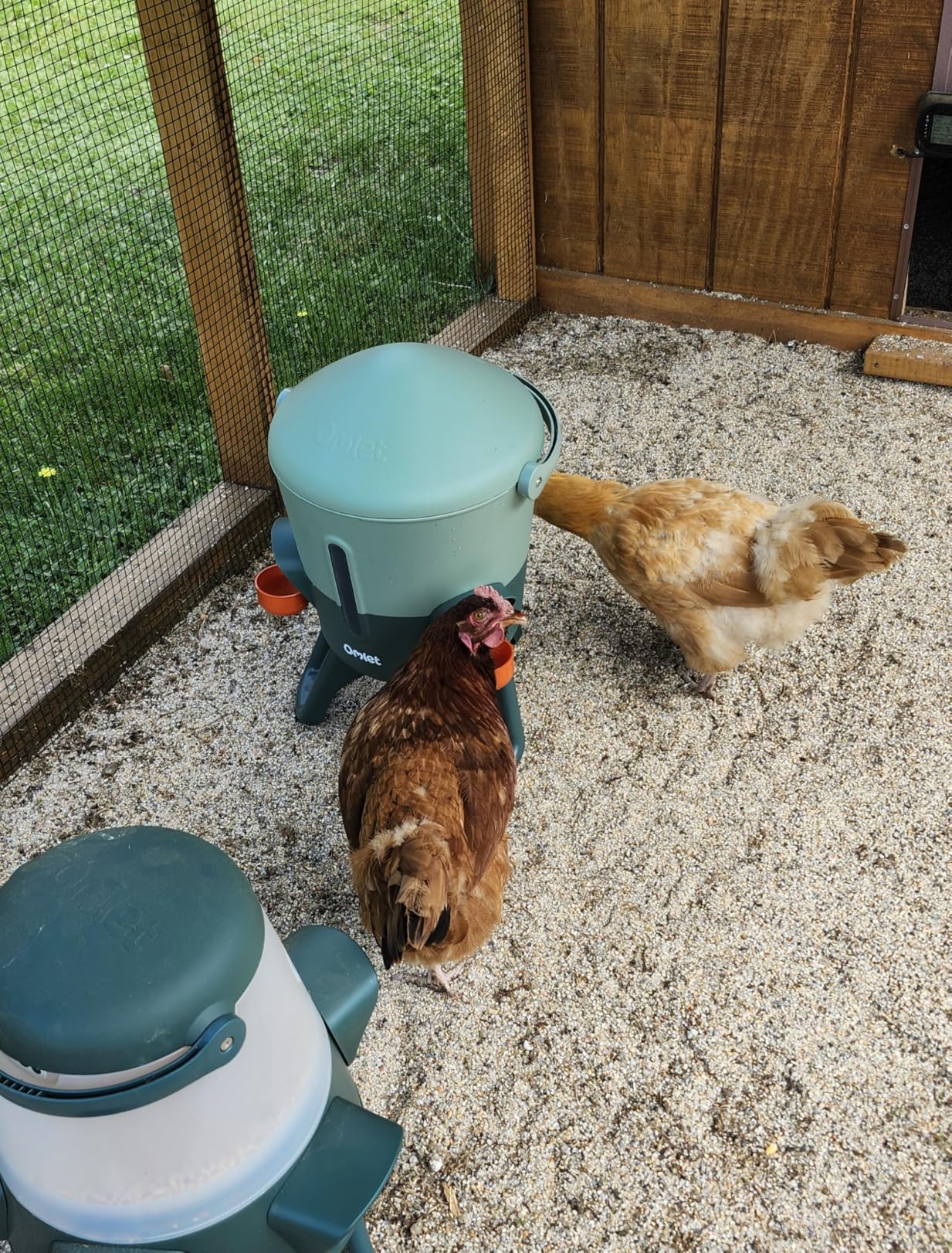Omlet Insulated Chicken Waterer, 3 Gallon | Stay-Clean Automatic Water Dispenser for Chickens | BPA-Free | Anti-Roost Domed Lid | Includes 5 Cups & Nipples | Sage Green customer photo 2