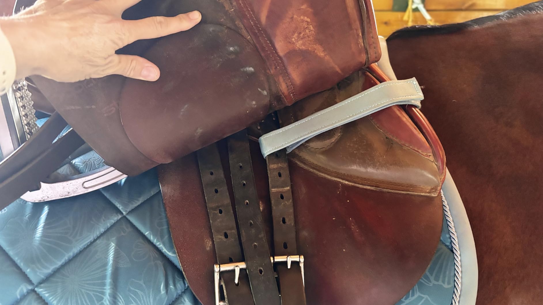 EQUINEWAVE Embossed All Purpose Saddle Pad, Cooling Performance Lining, Contoured Fit, Textured Design for English Riding customer photo 2