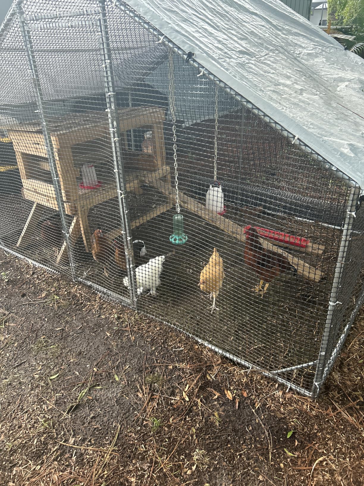Large Walk-in Chicken Coop with Chicken Run, Galvanized Poultry Enclosure with Waterproof Anti-UV Cover and Security Lock, Ideal for Rabbit, Duck, Backyard and Farm Yard, 9.8'x 6.6'x 6.6' customer photo 2