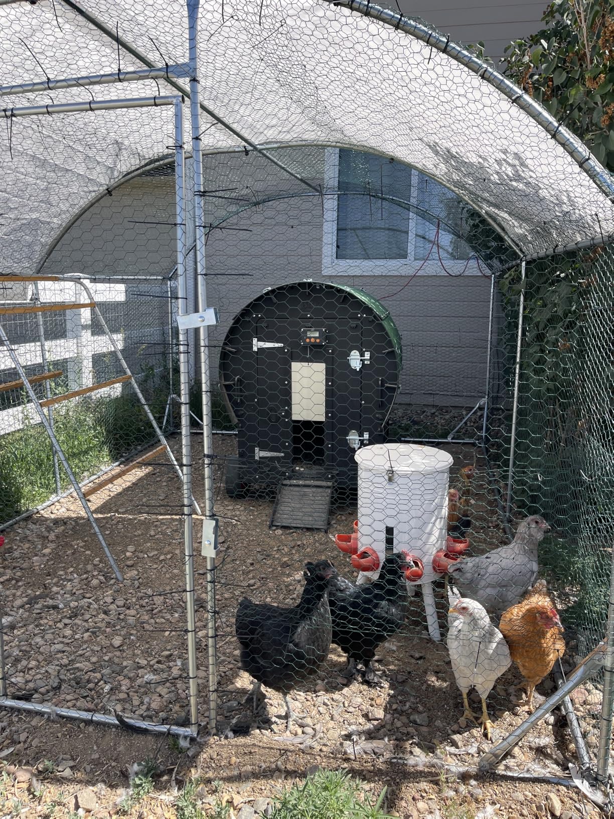 Quictent Essential Series 18x9x6.6ft Metal Chicken Coop Run with Climbing Ladder, Walk-in Outdoor Poultry Cage with PVC Coated Chicken Wire, Hen Duck Rabbit Farm House, Waterproof Anti-UV Cover customer photo 1