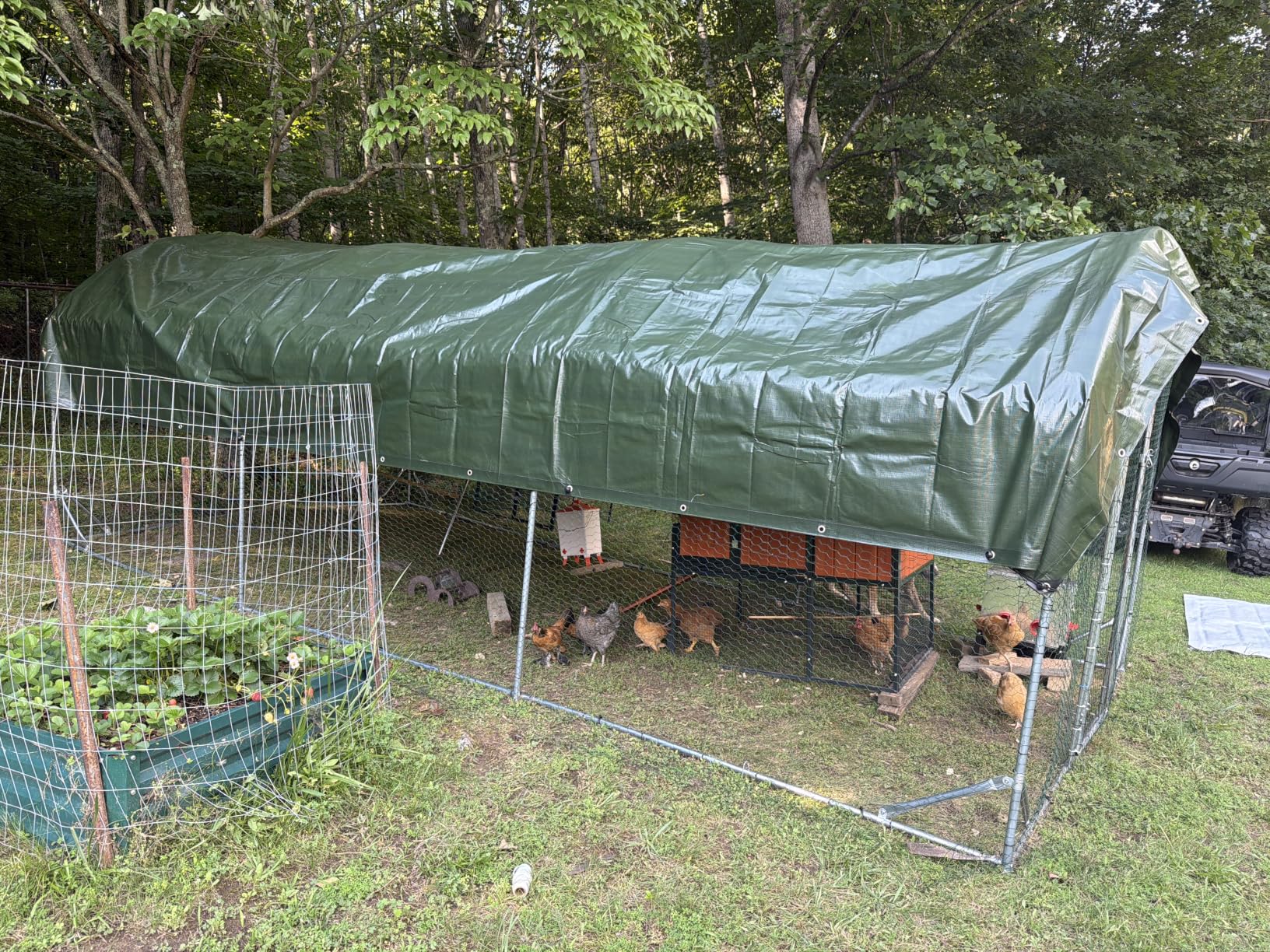 Quictent Essential Series 18x9x6.6ft Metal Chicken Coop Run with Climbing Ladder, Walk-in Outdoor Poultry Cage with PVC Coated Chicken Wire, Hen Duck Rabbit Farm House, Waterproof Anti-UV Cover customer photo 2