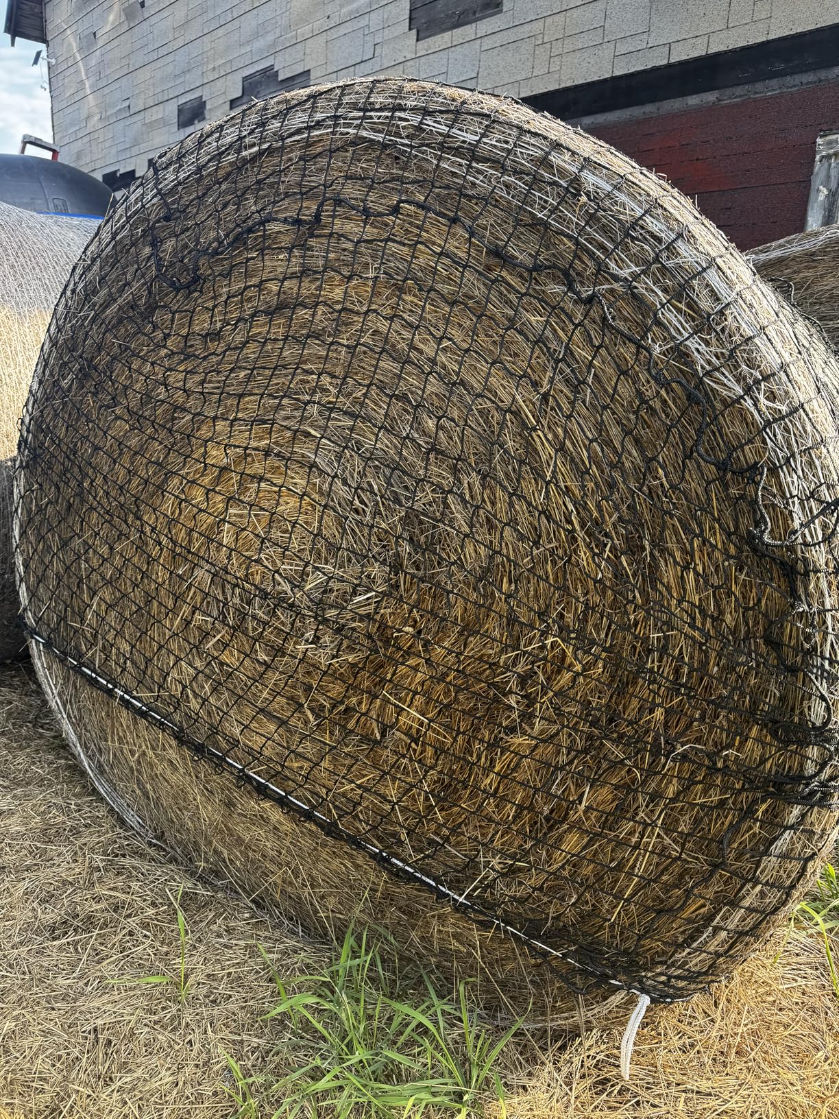 Large Round Bale Hay Net for Horses, 5x5 ft Hay Nets for Horses Slow Feed Knotless, Slow Feeder Hay nets for Horses, Fits Round Bales 4x4ft and 5x5ft, Square Bales 3x3x8ft and 4x4x8ft customer photo 1