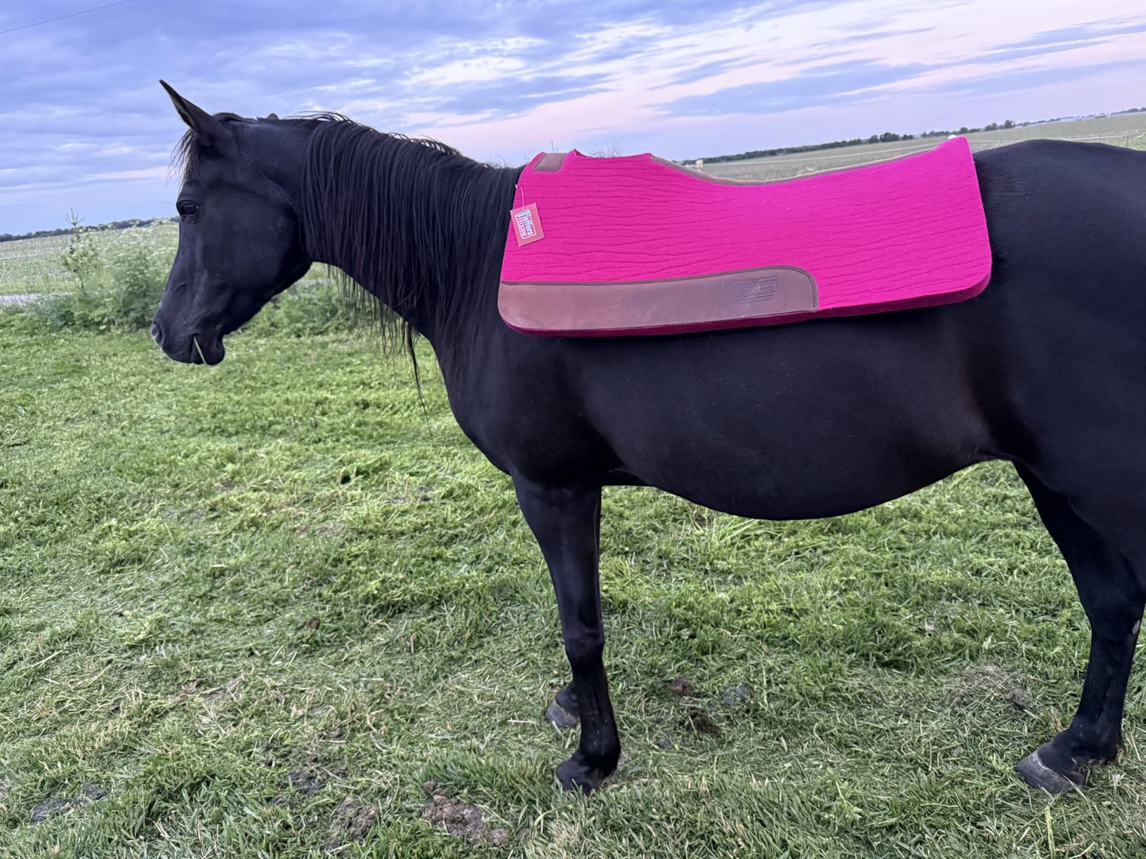 Jeffers WoolLuxe 100% Wool Felt Saddle Pad for Horses - Shock Absorbing, Breathable Equestrian Pad Horse Back Protection for Comfort During Riding, Training, & Competition customer photo 1