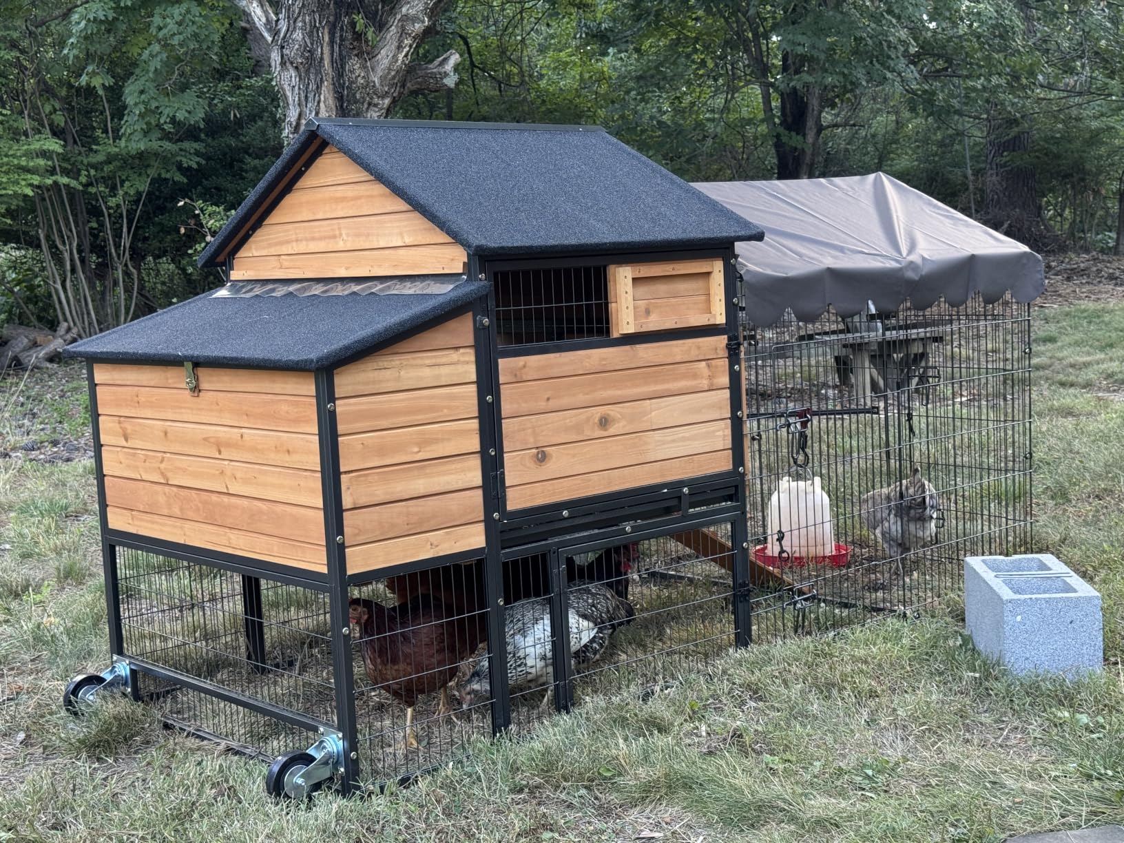 Wooden Chicken Coop, Large Chicken Tractor with Wheels, Weatherproof Hen House with Nest Box and Removable Tray, Mobile Poultry Hutch for 2-4 Chickens, Rabbits & Ducks (Red) customer photo 2