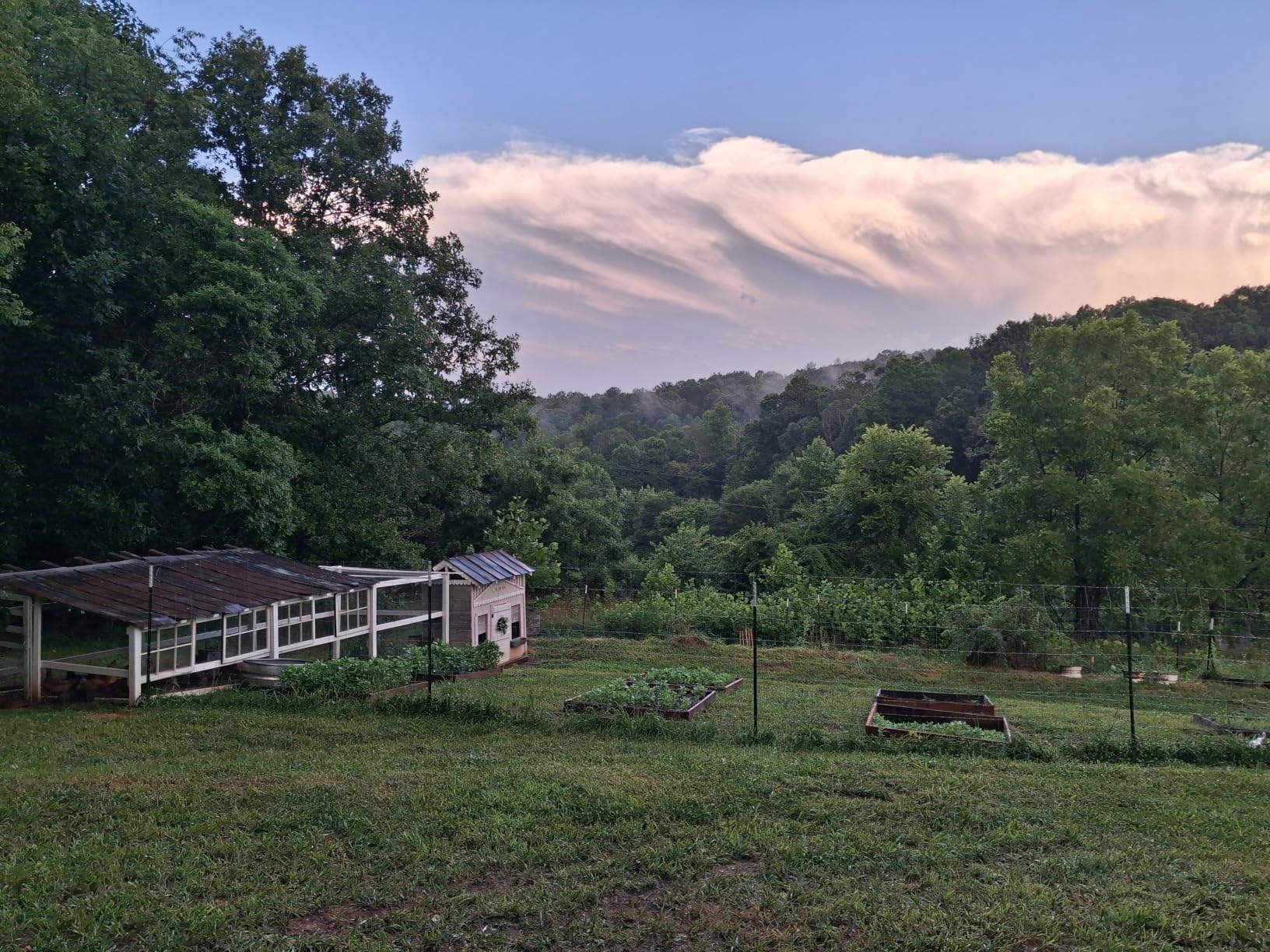 Farm Fence 6FT x 164FT, 12GA Livestock Fence, Goat Fence, Galvanized Cattle Fence, Heavy Zinc Coating Wire Fencing, for Goat Deer Yard Livestock Animals Protection customer photo 1
