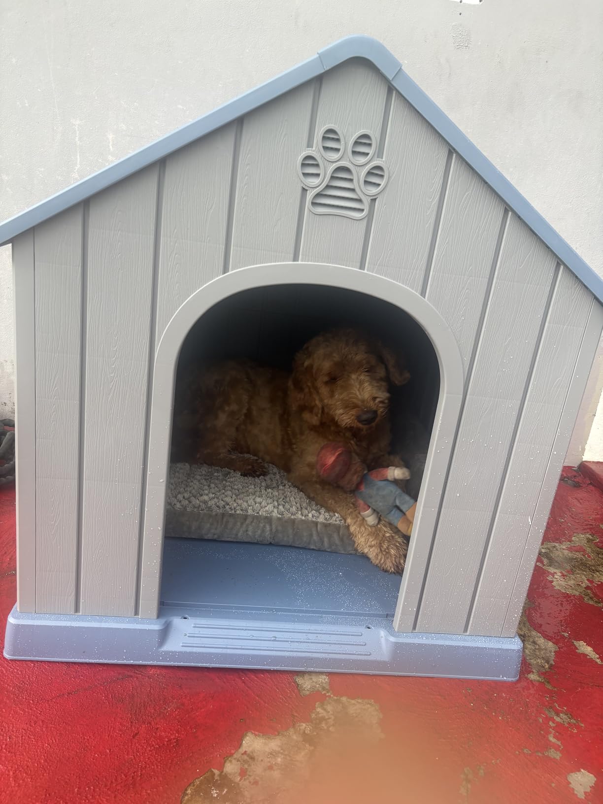 Fancyango Dog House Outdoor Indoor, Weatherproof Insulated Dog House with Elevated Floor and Air Vents for Small to Medium Dogs,Easy Clean and Assemble (Classic Blue, 26.18''L × 24.02''W × 25.98''H) customer photo 1