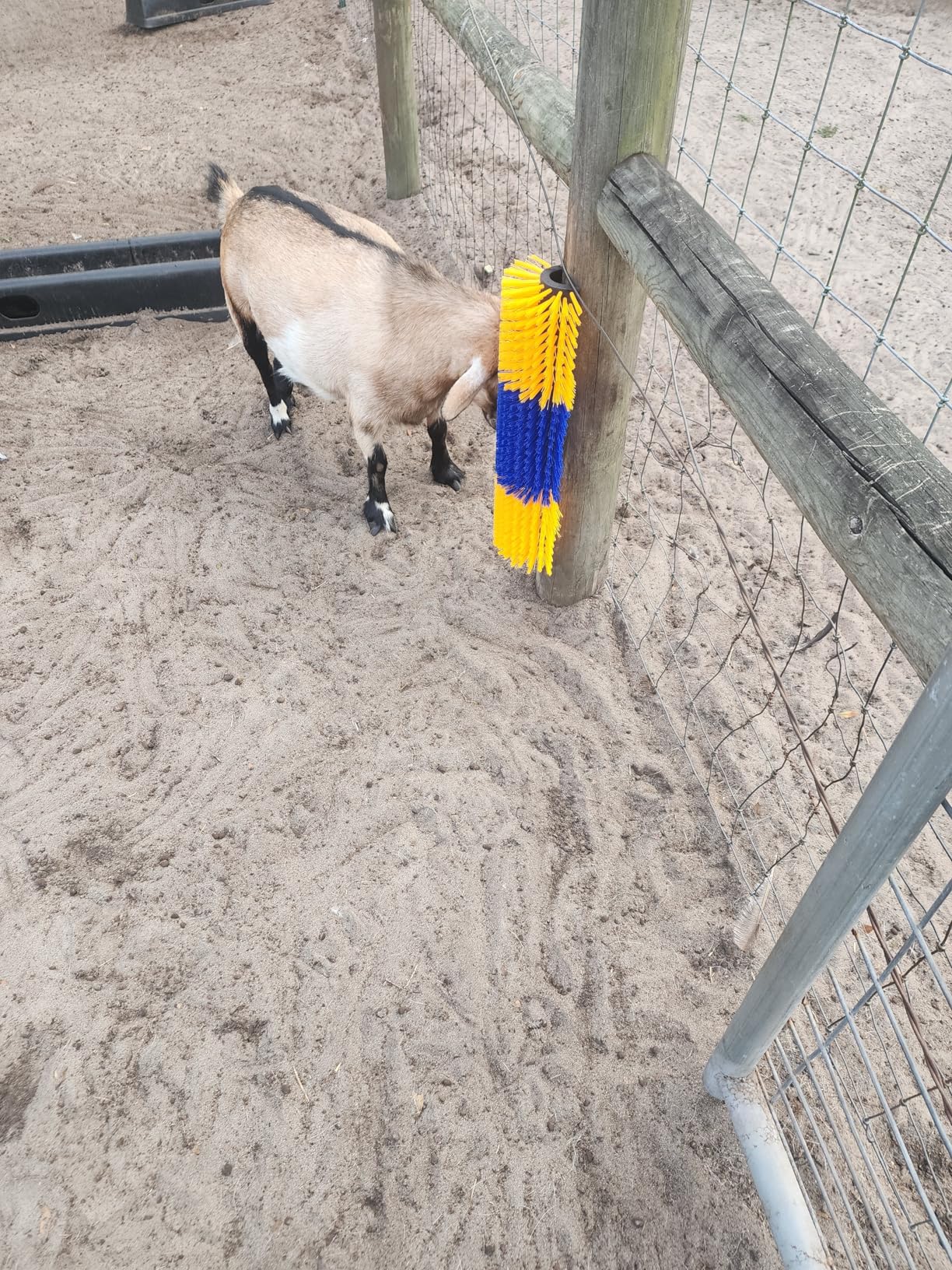 VEVOR Livestock Scratching Brush, 1PC Goat Scratcher Brush Post with 4 Screws, 16.9