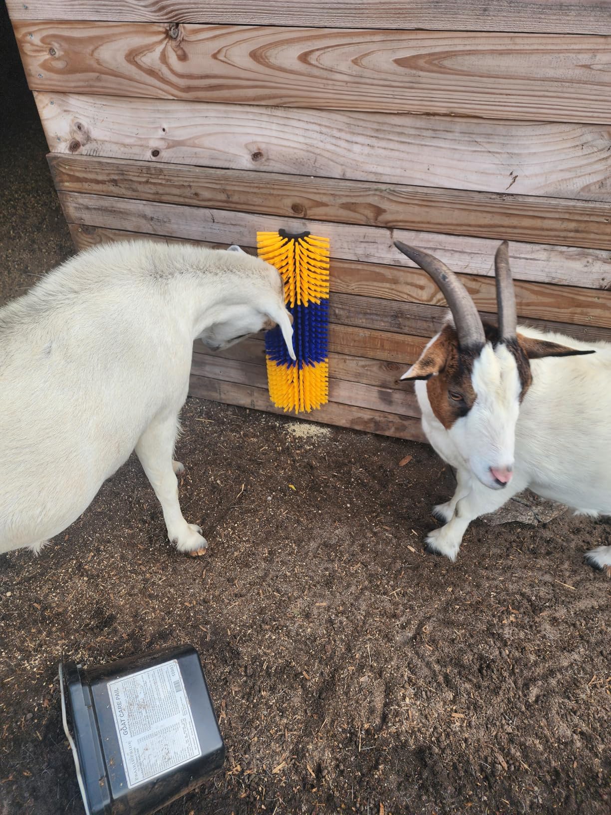 VEVOR Livestock Scratching Brush, 1PC Goat Scratcher Brush Post with 4 Screws, 16.9