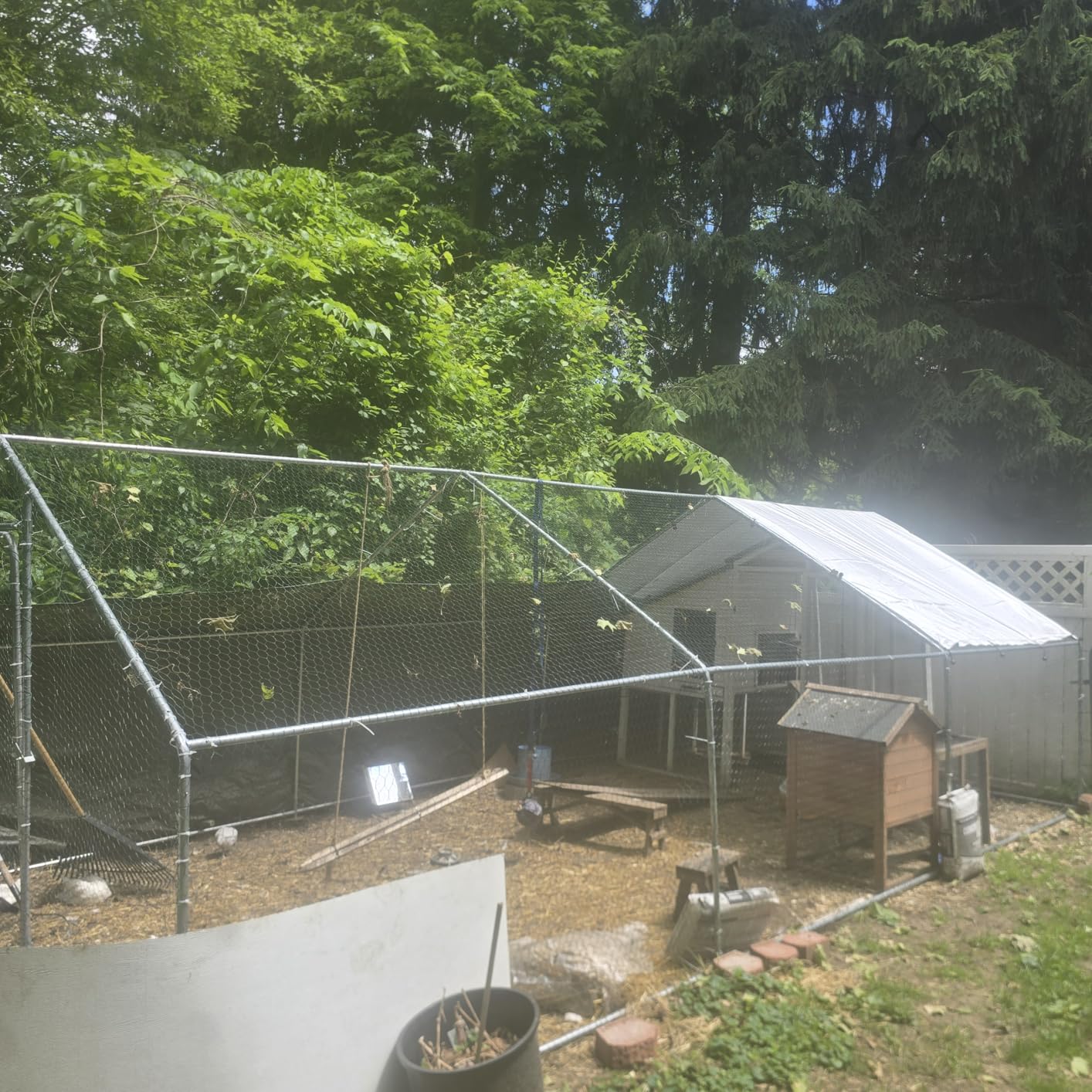 Metal Chicken Coop with Run, 10 x 5 x 6.4ft Outdoor Walk-in Chicken Run Pen Poultry Cage, Upgrade Roosting Perch, Waterproof & Anti-Ultraviolet Cover, Spire Roof customer photo 2