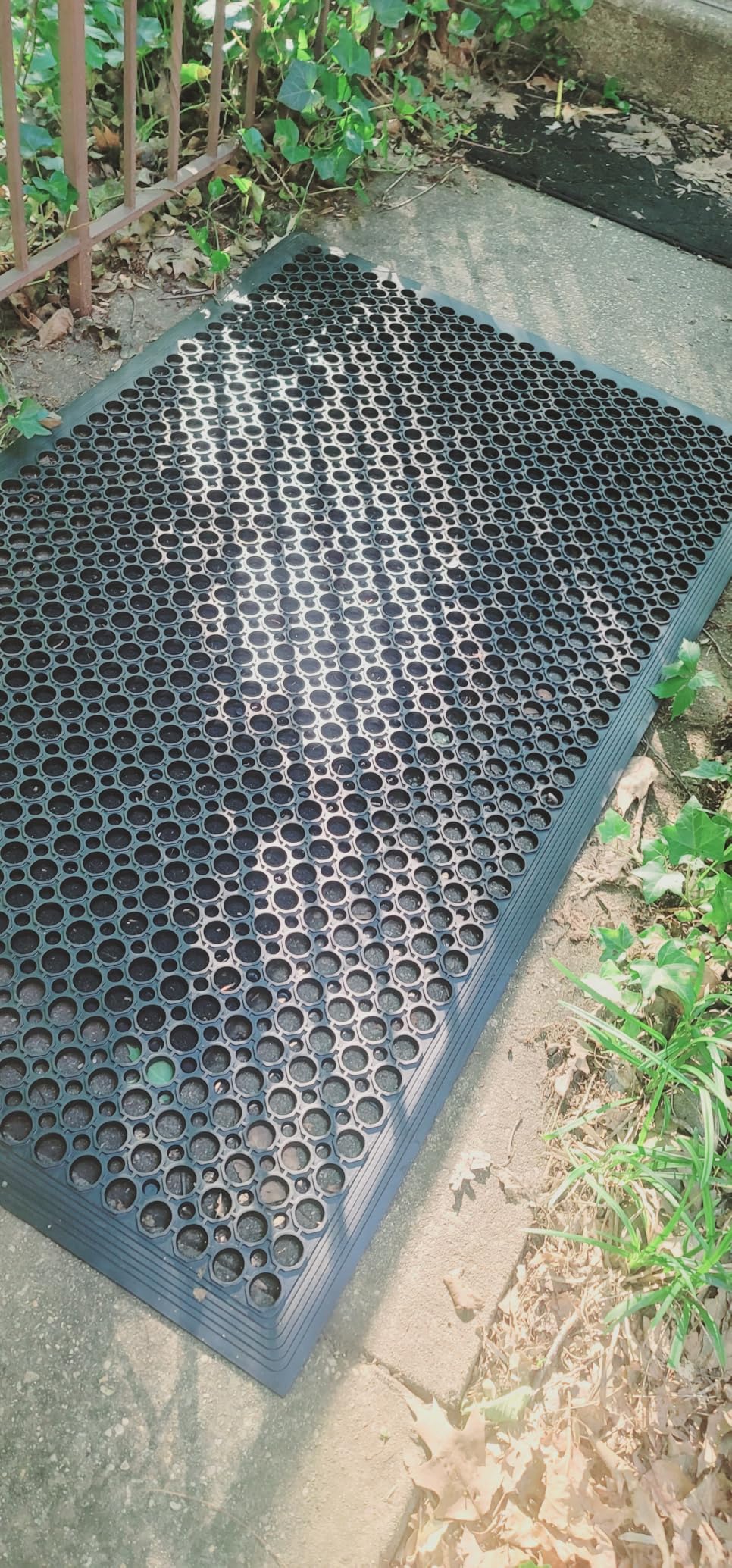 Backyard Expressions 36