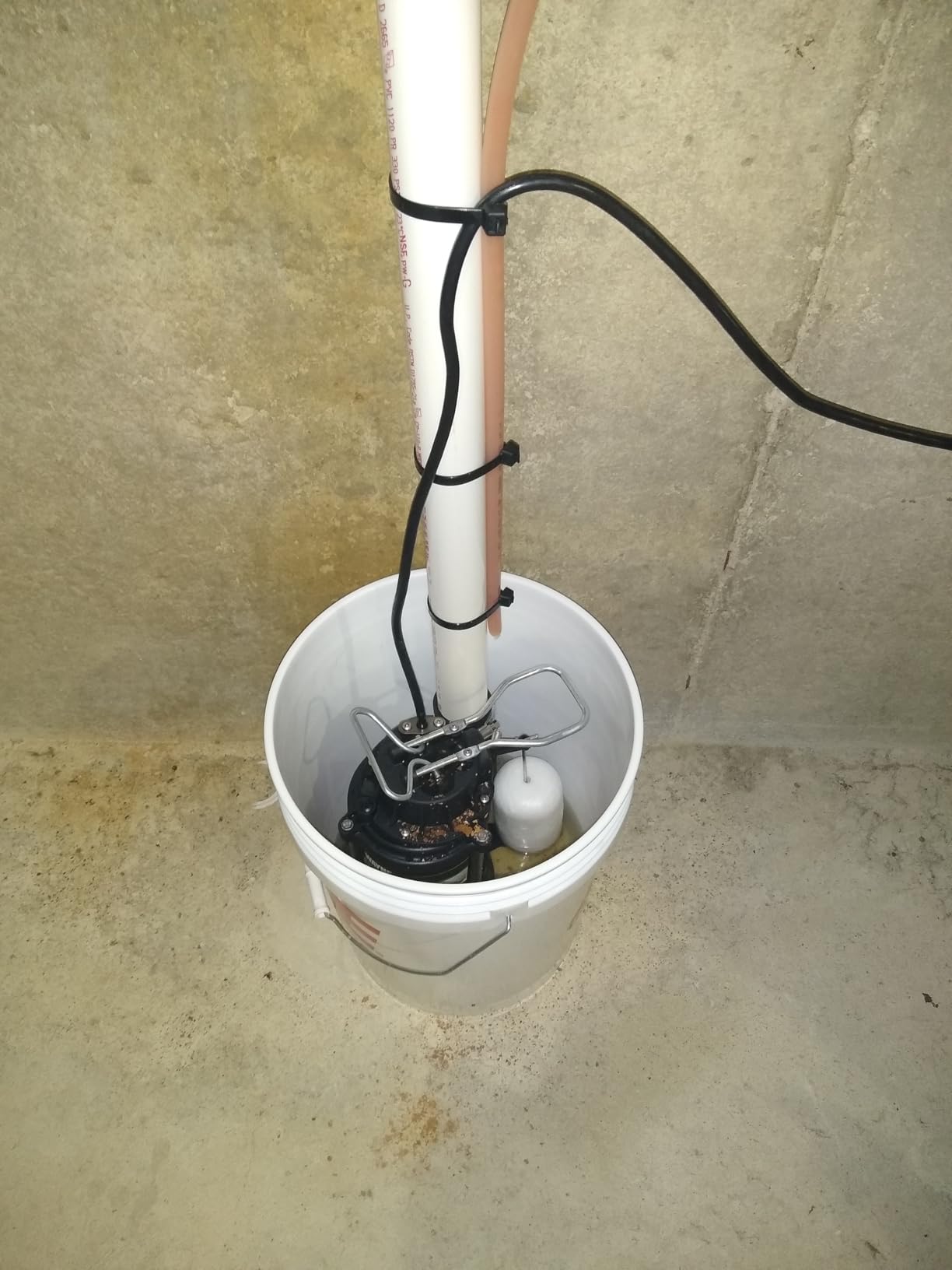 WAYNE CDU790 1/3 HP Submersible Water Pump, Heavy Duty Basement Sump Pump customer photo 1