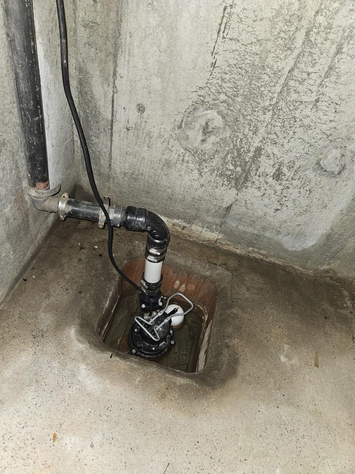 WAYNE CDU790 1/3 HP Submersible Water Pump, Heavy Duty Basement Sump Pump customer photo 2