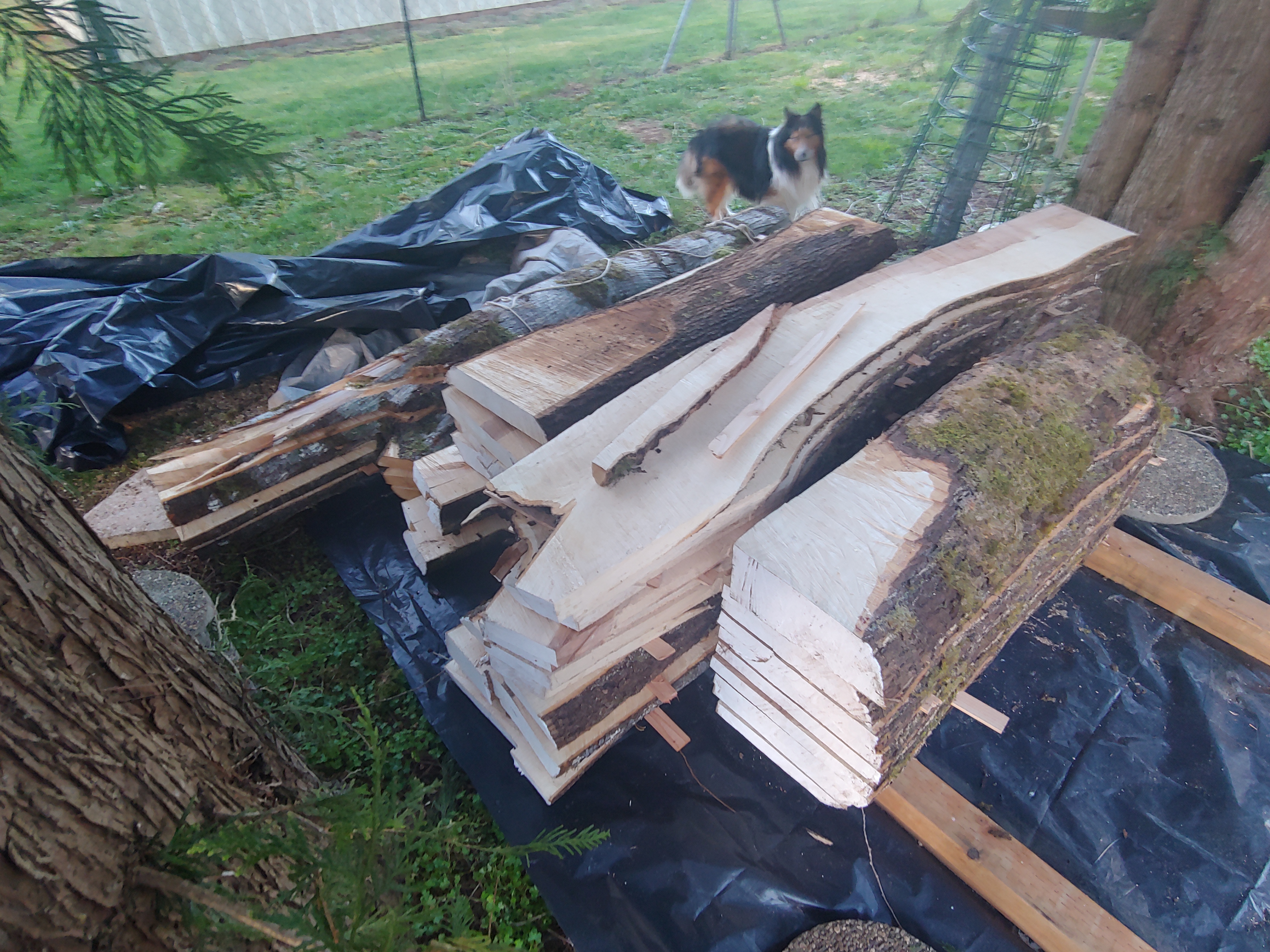 Granberg G777 Alaskan Small Log Mill, 16 to 20 Inch Chainsaw Bar Attachment customer photo 2