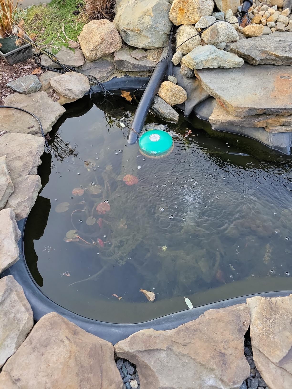 Farm Innovators 1250 Watts 7.5 Inch Cast Aluminum Floating Outdoor Pond De Icer Heater with Built in Thermostat Control and 10 Foot Cord, Green | for use in ponds 50 to 600 gallons, 10-ft grounded cord customer photo 1