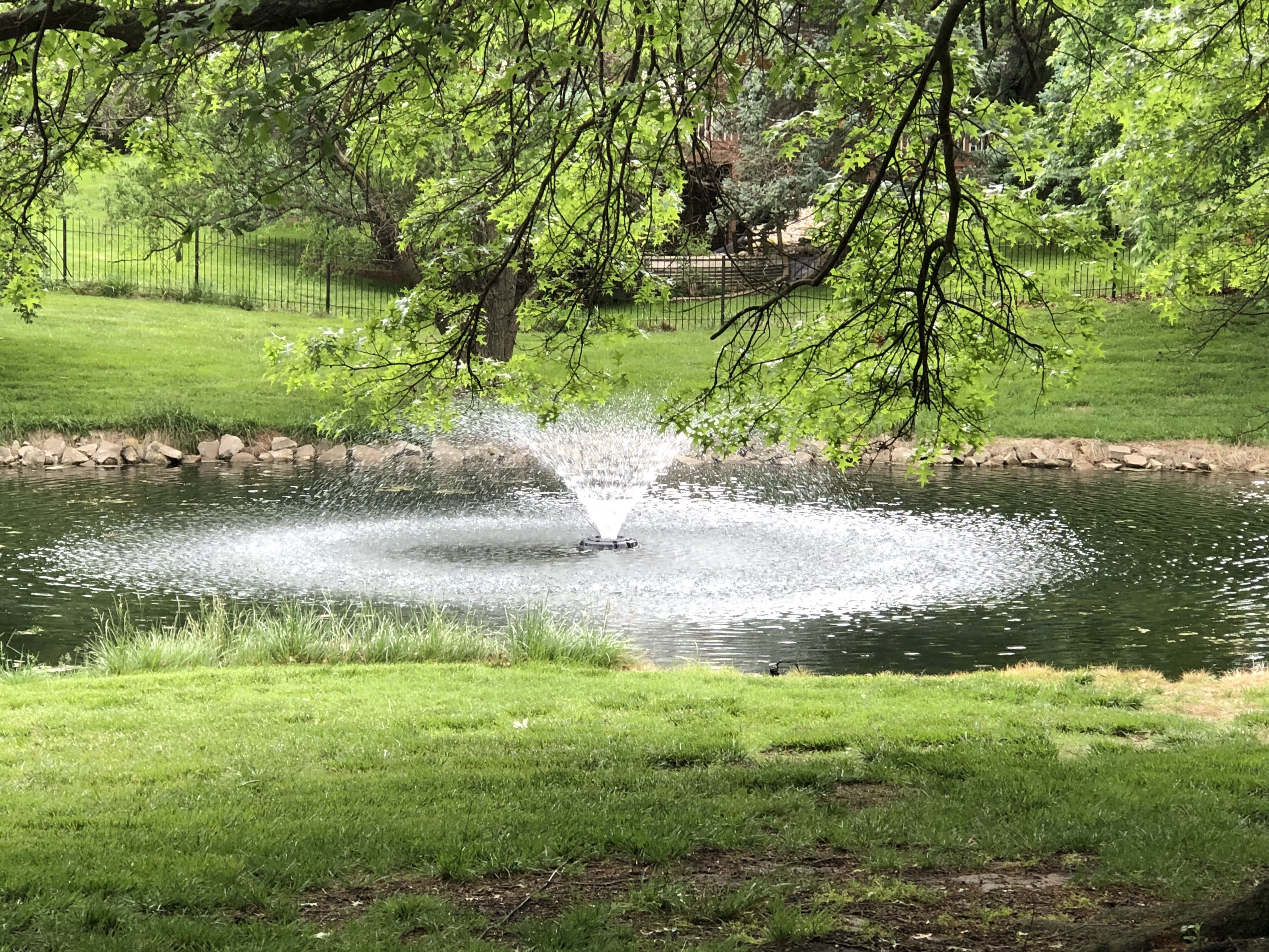 Kasco 3/4HP VFX Aerating Fountain, 120V, 100ft Power Cord customer photo 1