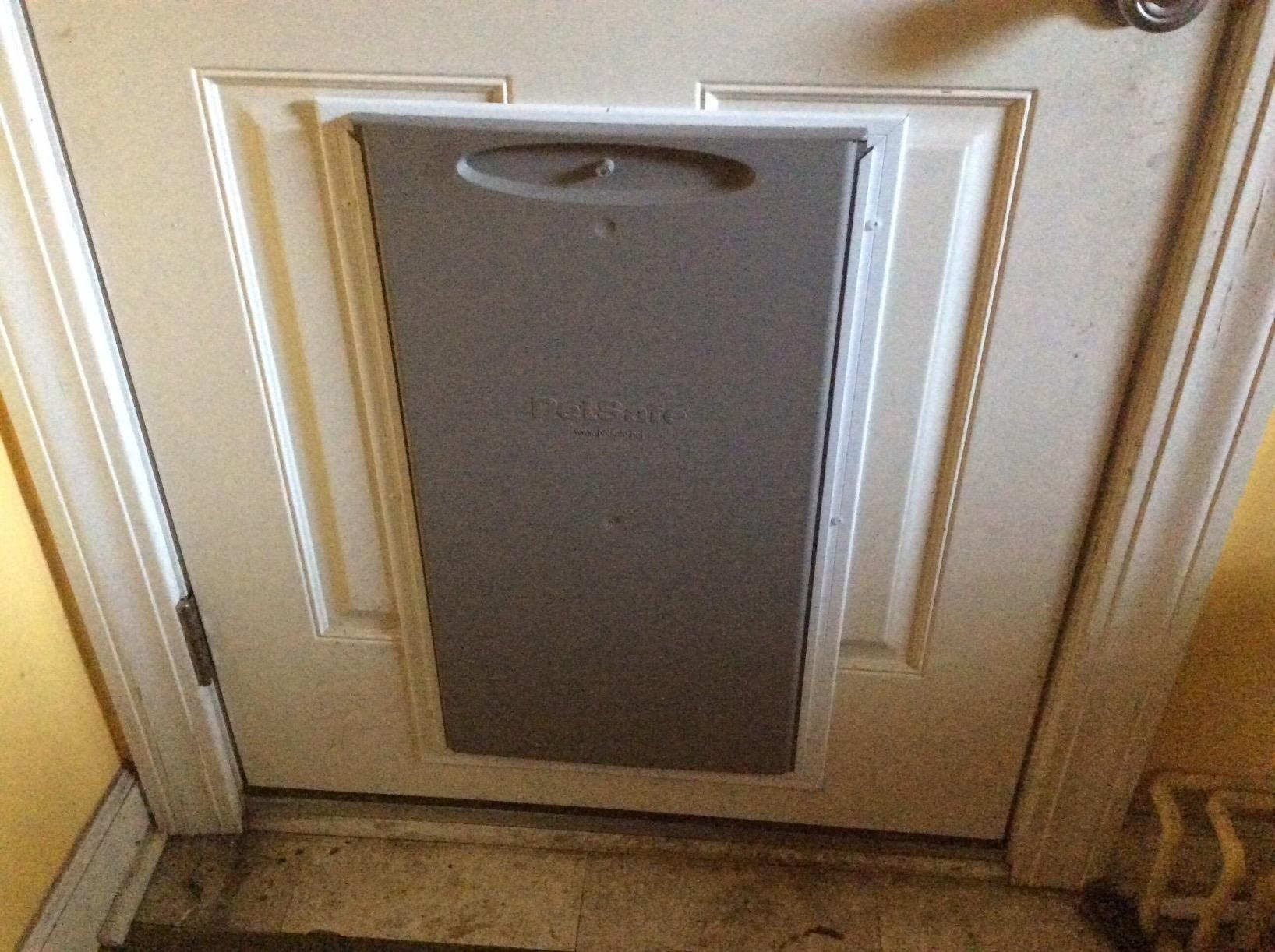 PetSafe Freedom Aluminum Dog and Cat Door with Durable White Frame and Tinted Vinyl Flap, Indoor and Outdoor, Easy to Install, Large and X-Large | Solid Aluminum Frame with Reinforced Corners, Slide-in Closing Panel, Fits Interior/Exterior Doors 3/8 in-2 in Thick customer photo 2