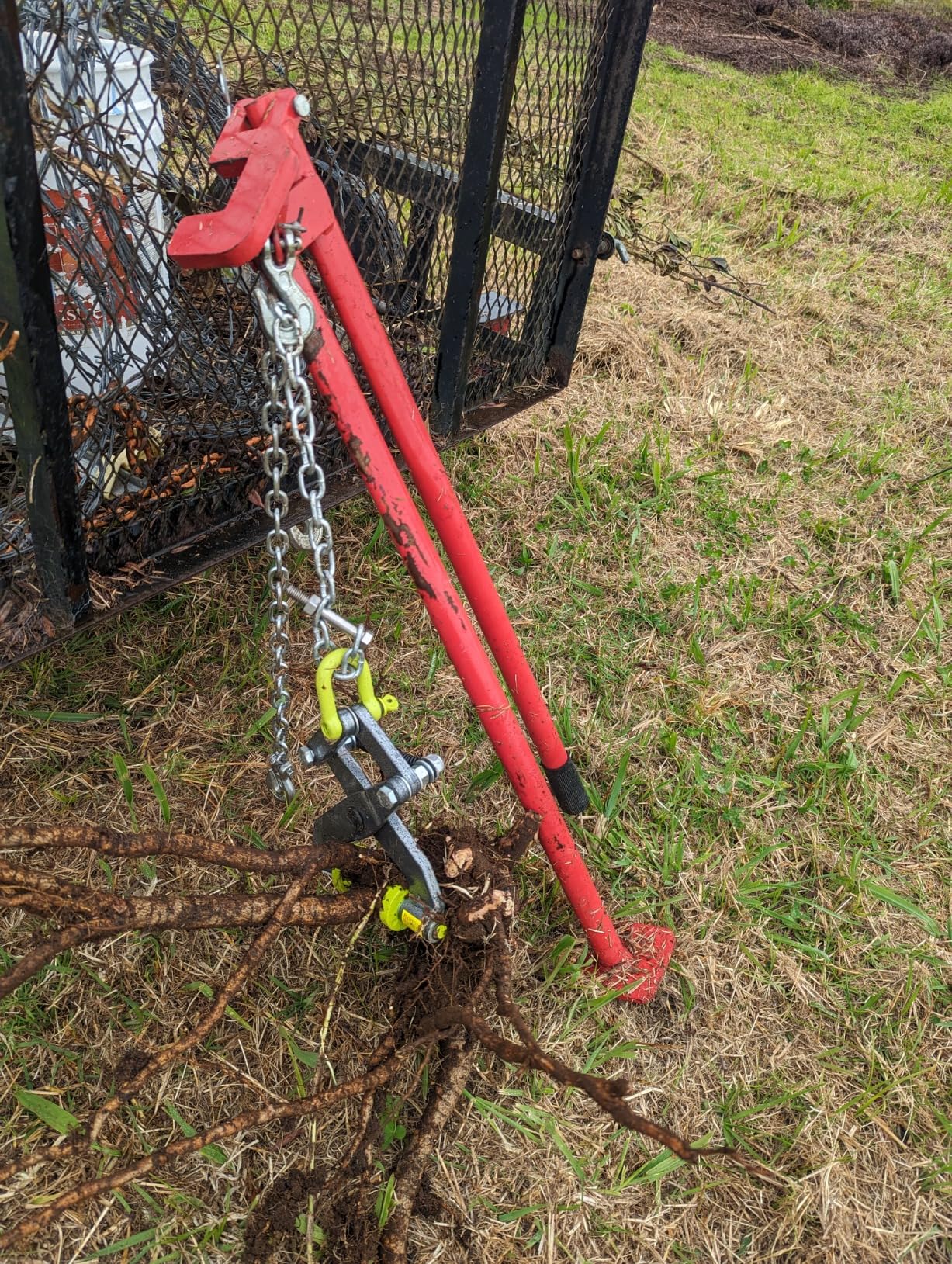 Brush Grubber BG-01 Original Brush Grubber Root Puller Gardening Weed Puller Tool for Clearing Brush & Small Tree Stumps w/ Gripping Teeth & Jaws customer photo 1